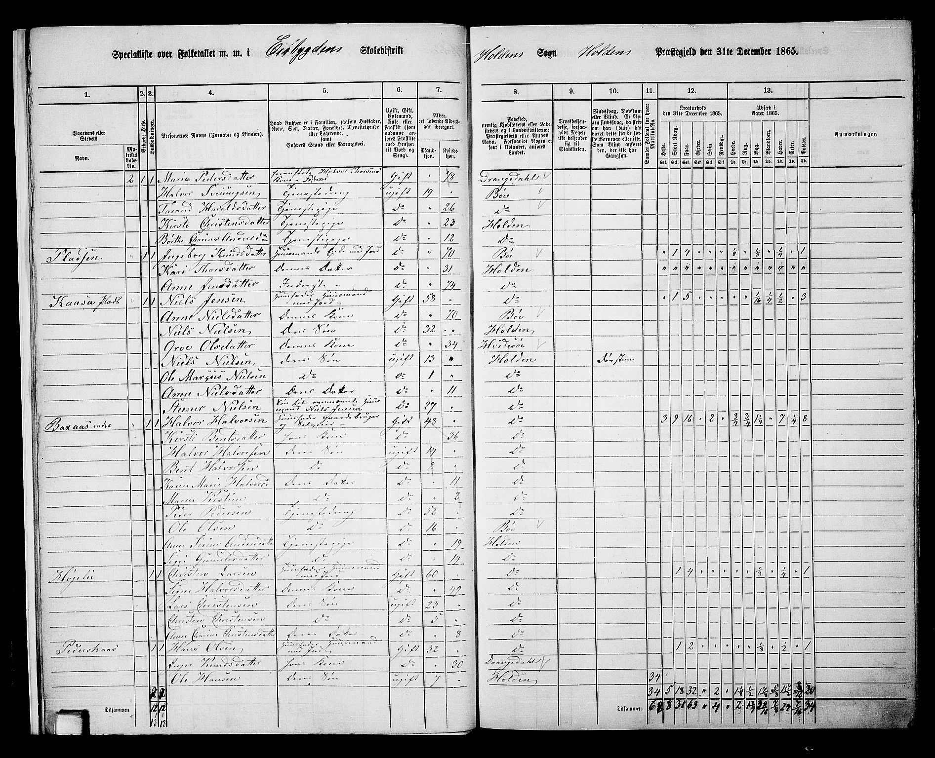 RA, 1865 census for Holla, 1865, p. 14