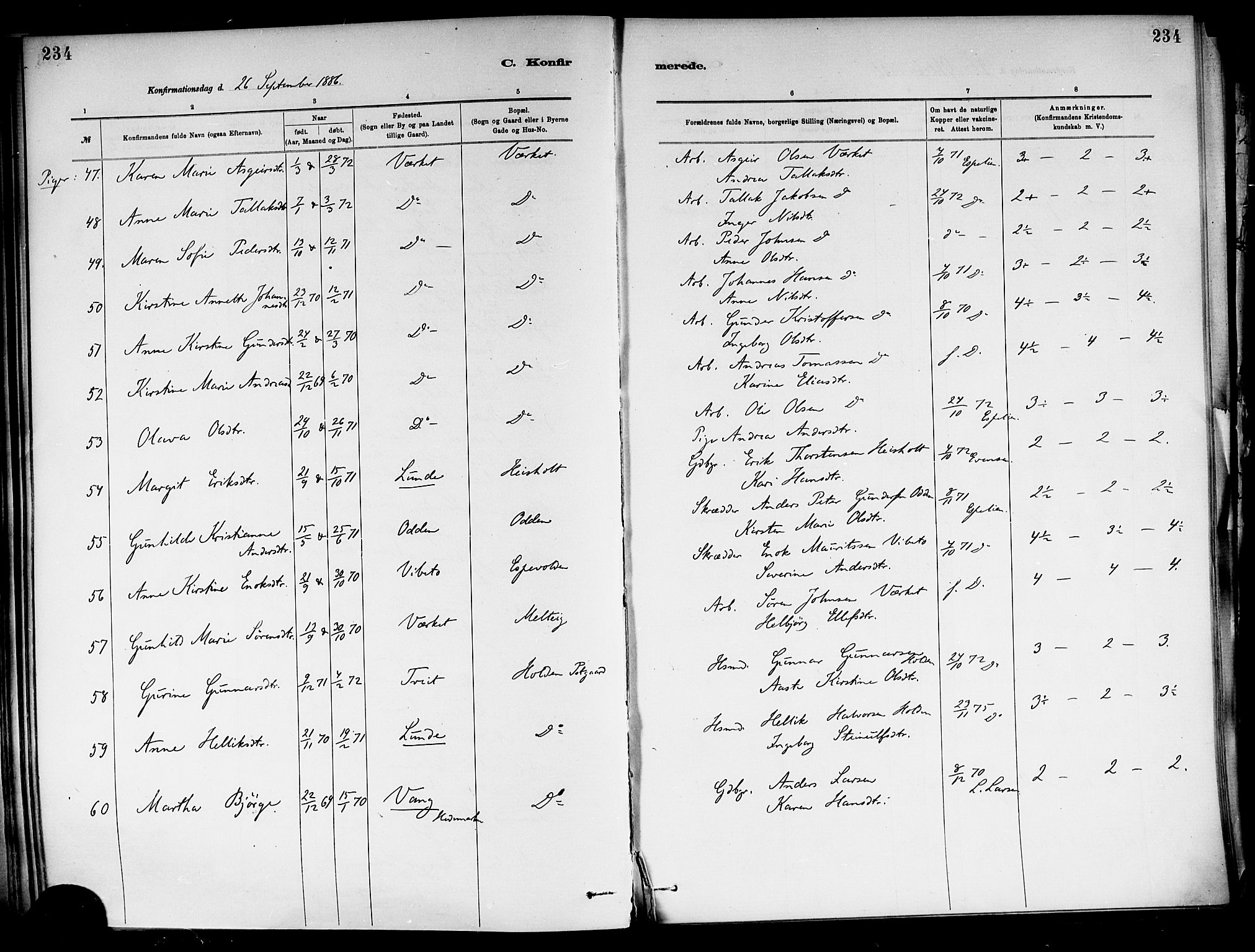 Holla kirkebøker, SAKO/A-272/F/Fa/L0008: Parish register (official) no. 8, 1882-1897, p. 234
