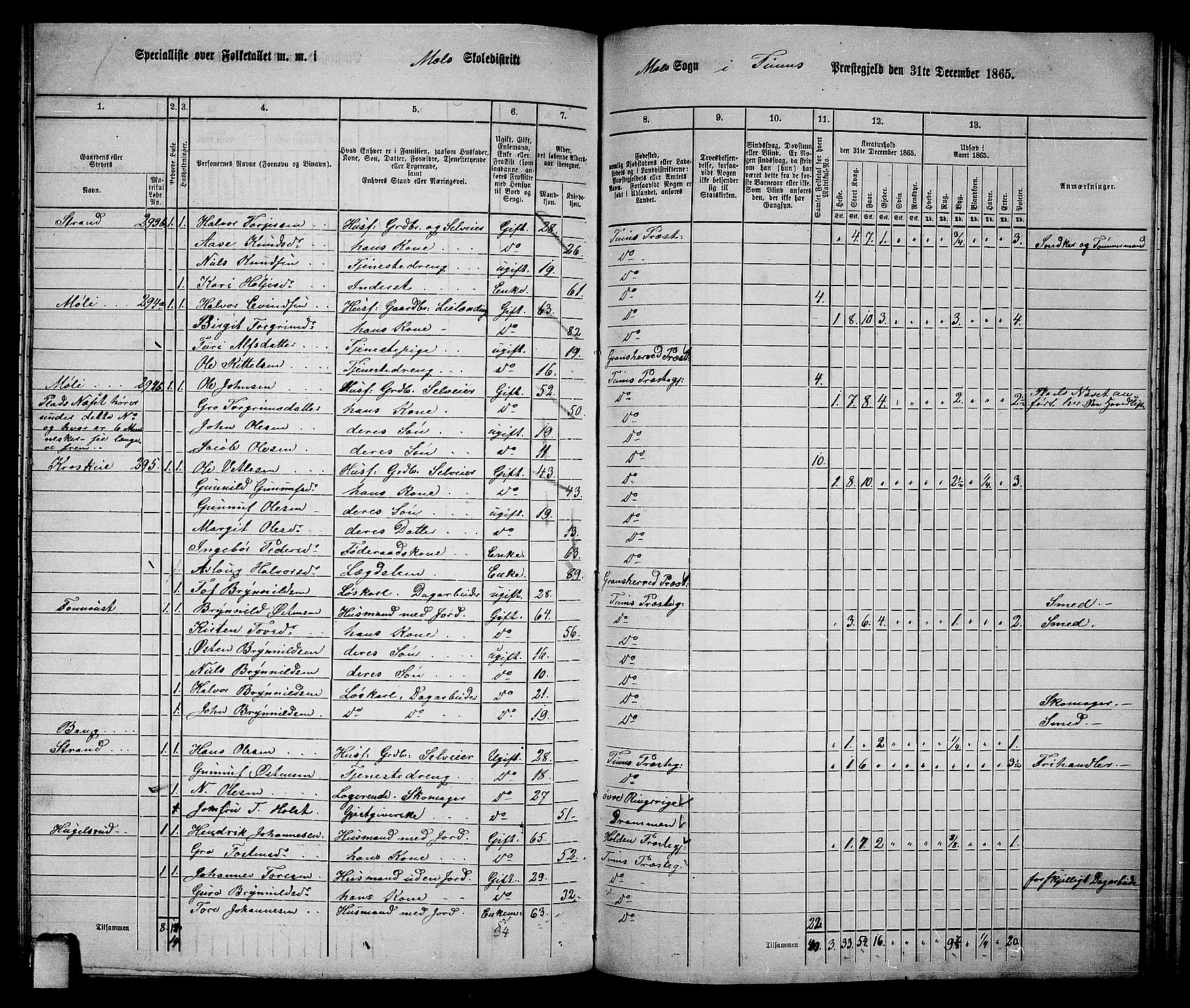RA, 1865 census for Tinn, 1865, p. 88
