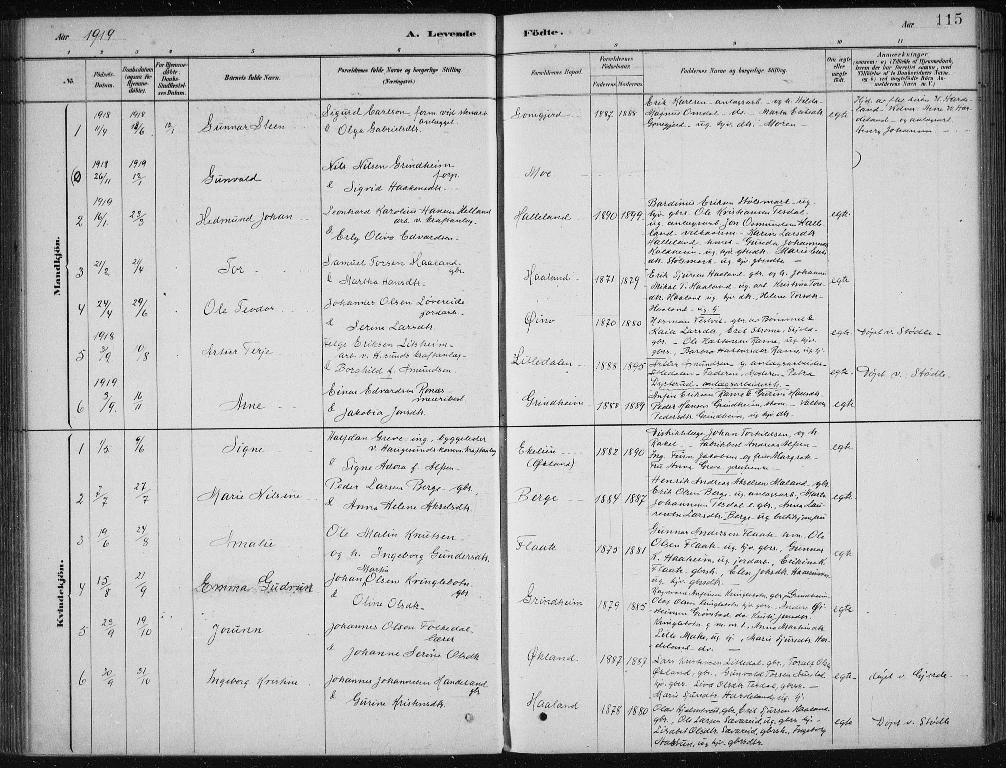 Etne sokneprestembete, AV/SAB-A-75001/H/Haa: Parish register (official) no. D  1, 1879-1919, p. 115