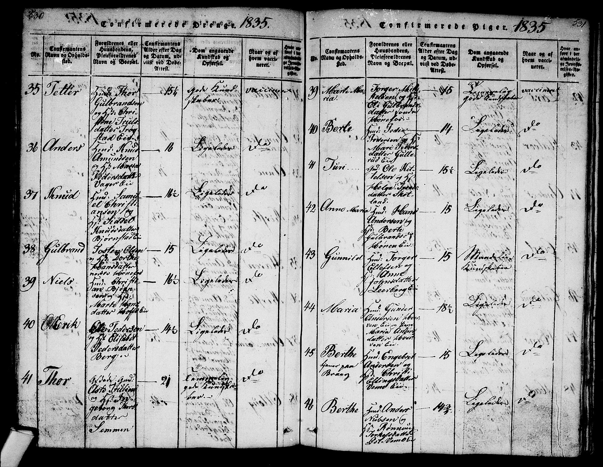 Norderhov kirkebøker, AV/SAKO-A-237/G/Ga/L0003: Parish register (copy) no. I 3 /1, 1814-1876, p. 530-531