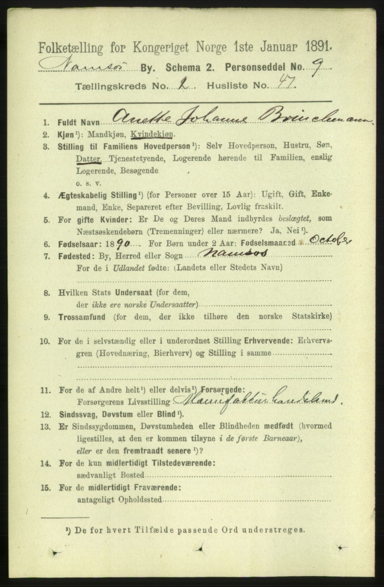 RA, 1891 census for 1703 Namsos, 1891, p. 1064