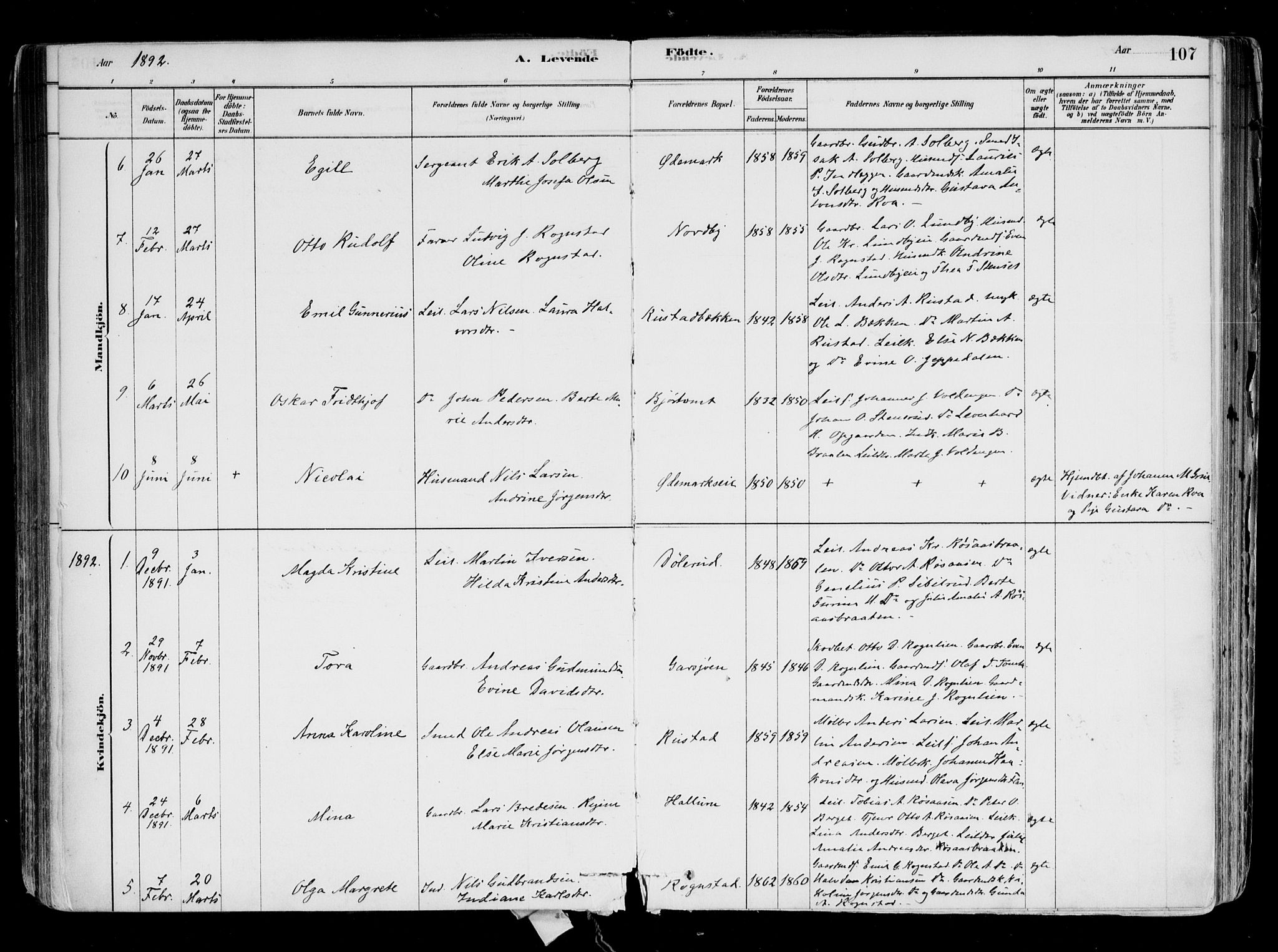 Hurdal prestekontor Kirkebøker, AV/SAO-A-10889/F/Fa/L0007: Parish register (official) no. I 7, 1878-1906, p. 107