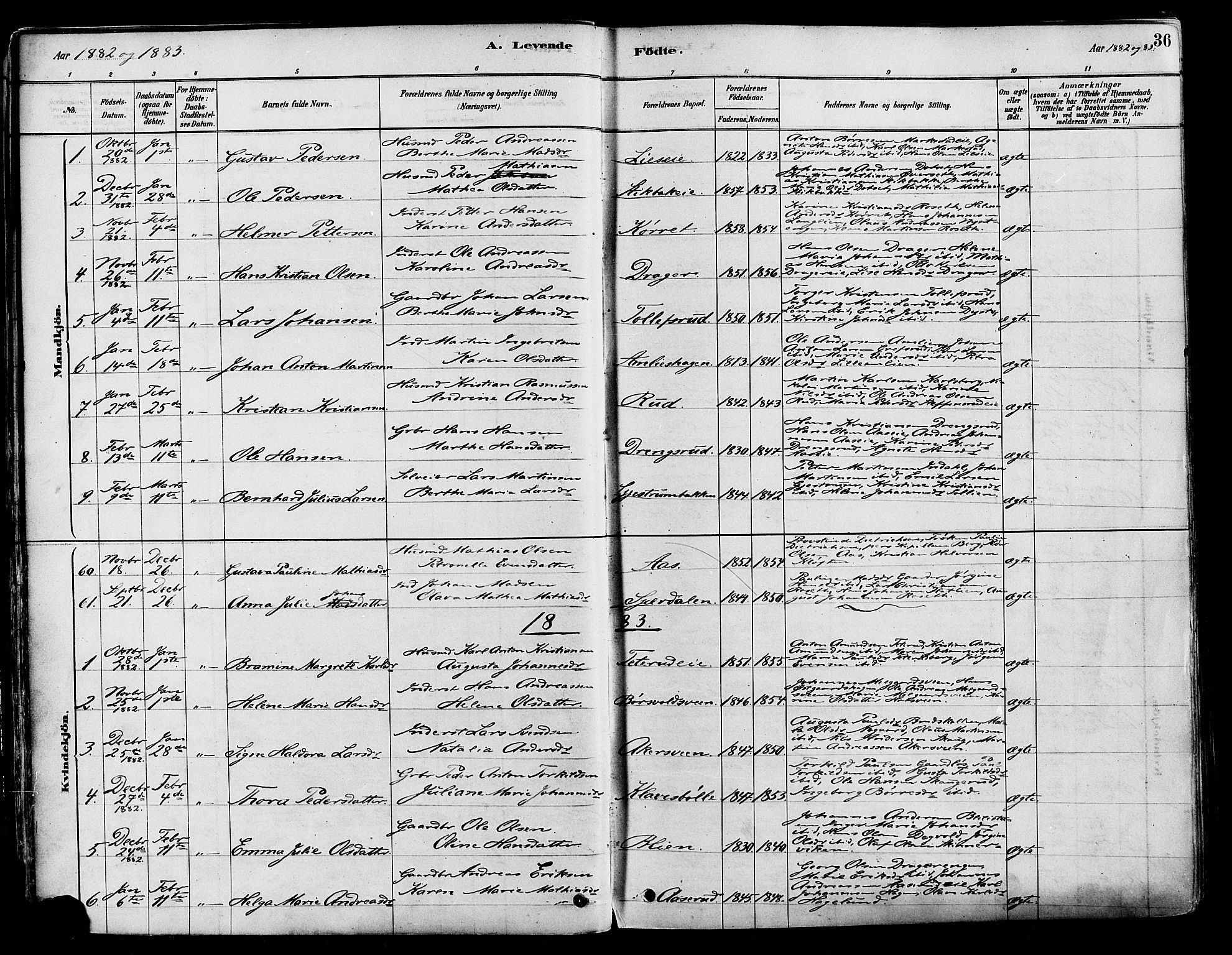 Vestre Toten prestekontor, SAH/PREST-108/H/Ha/Haa/L0009: Parish register (official) no. 9, 1878-1894, p. 36