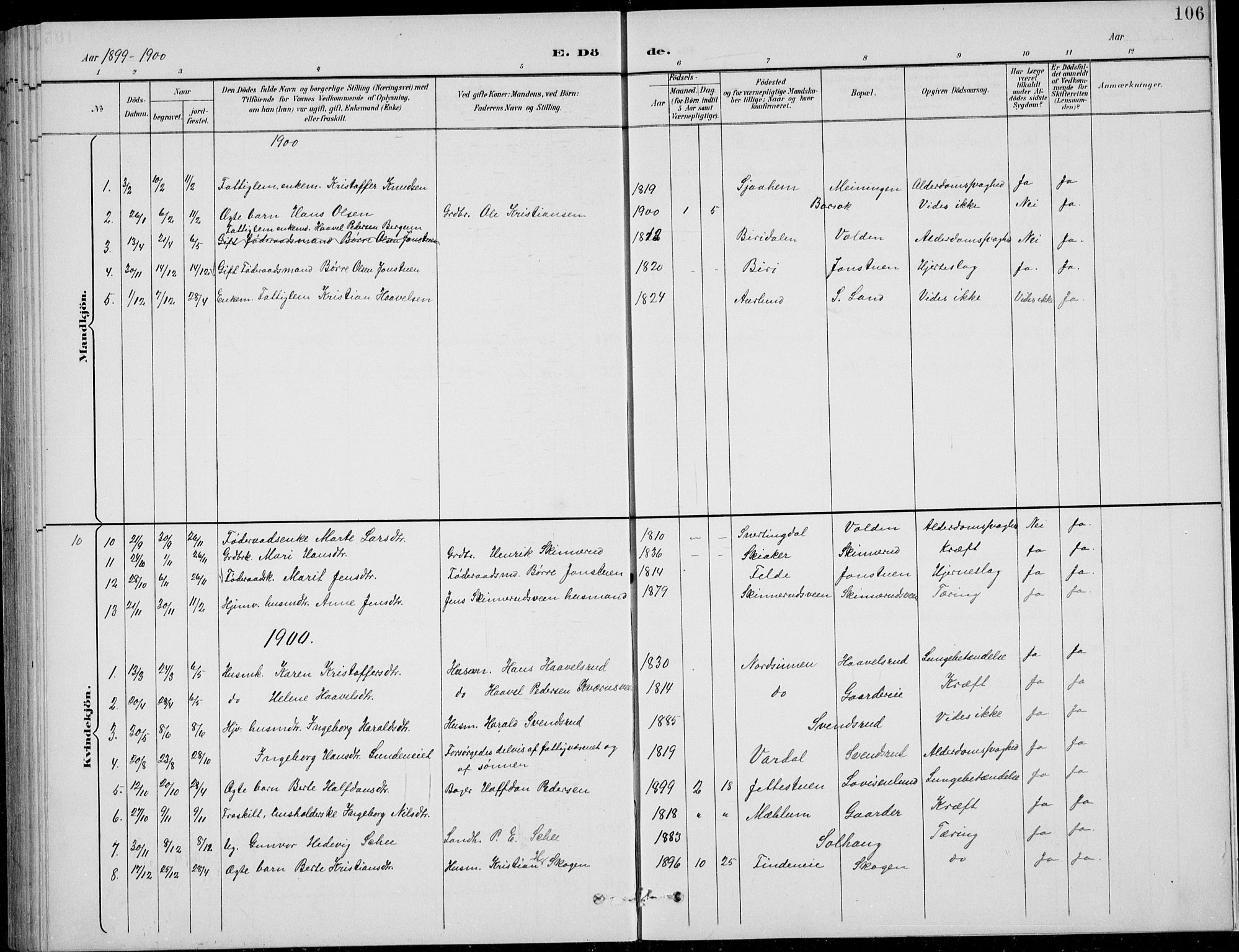 Nordre Land prestekontor, SAH/PREST-124/H/Ha/Hab/L0014: Parish register (copy) no. 14, 1891-1907, p. 106