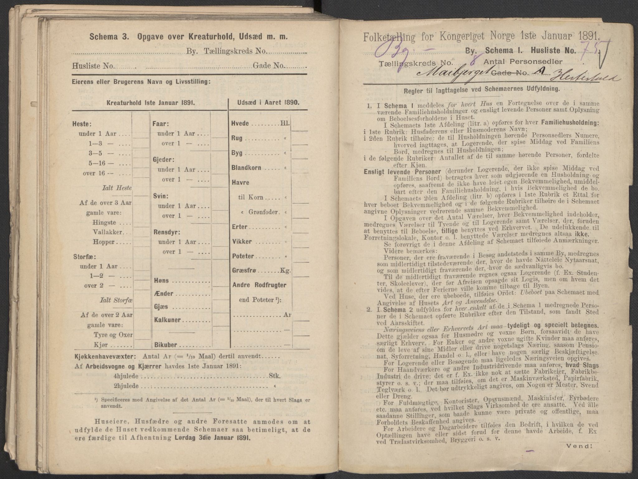 RA, 1891 Census for 1301 Bergen, 1891, p. 1488