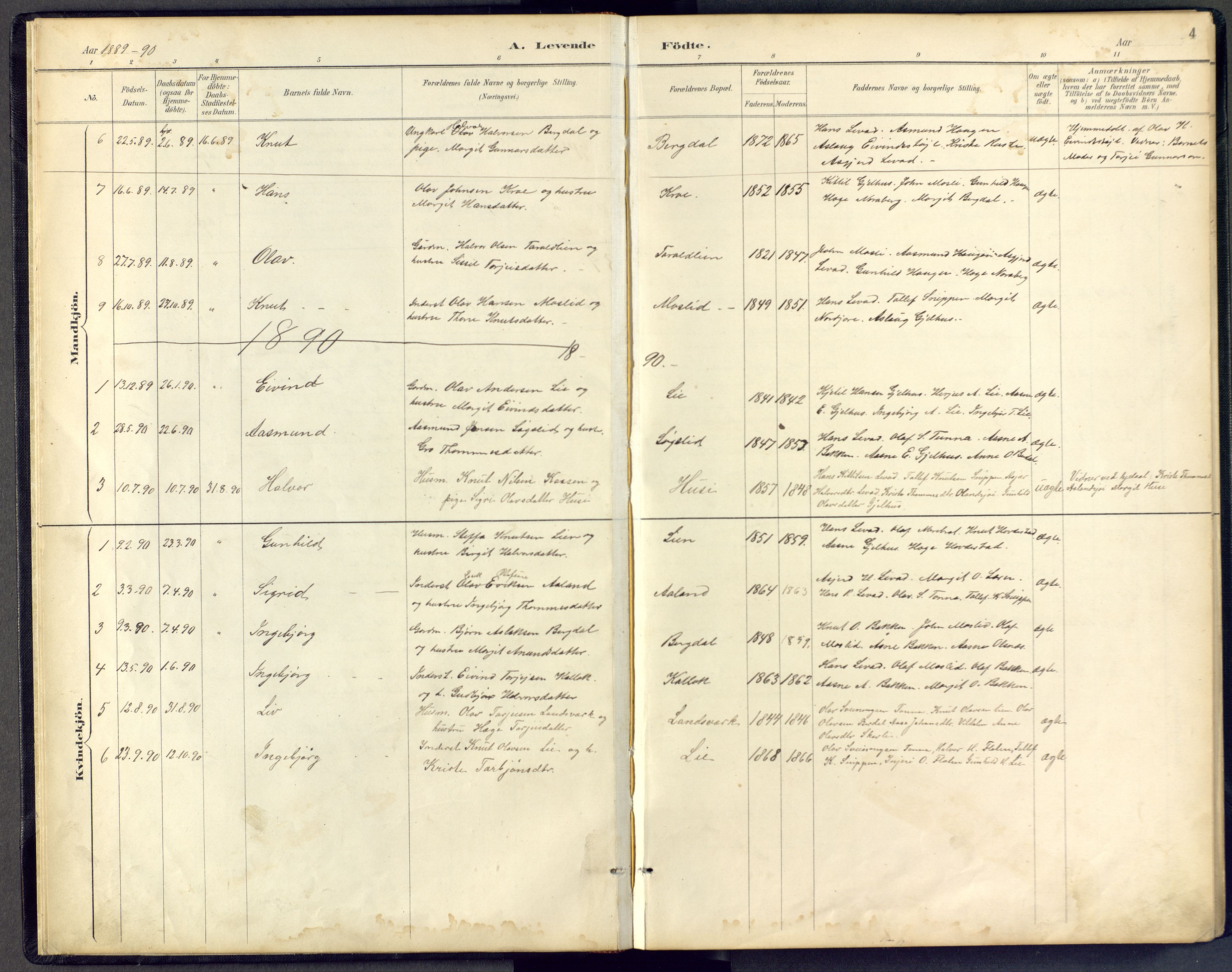 Vinje kirkebøker, SAKO/A-312/F/Fb/L0002: Parish register (official) no. II 2, 1887-1925, p. 4