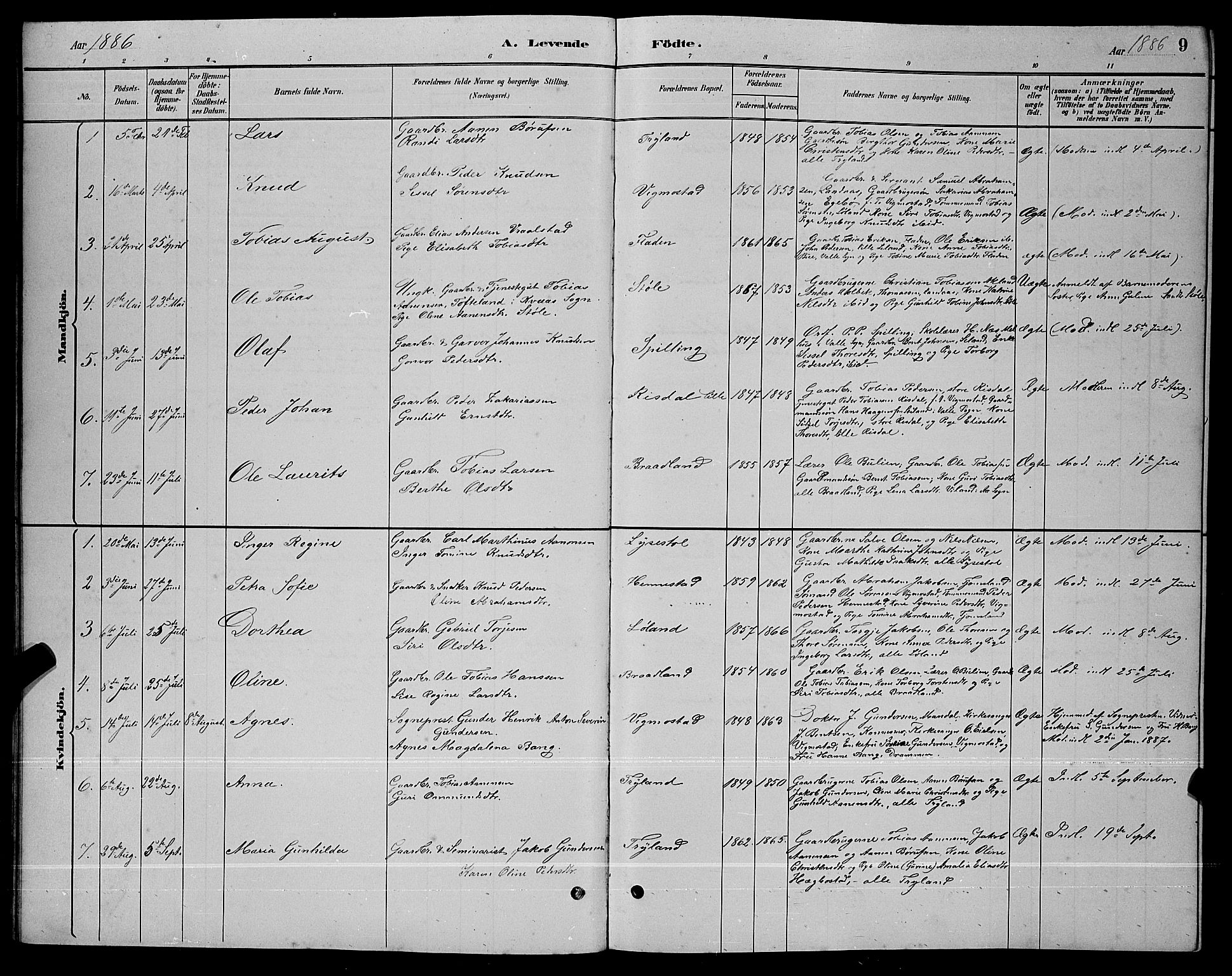 Nord-Audnedal sokneprestkontor, AV/SAK-1111-0032/F/Fb/Fbb/L0003: Parish register (copy) no. B 3, 1882-1900, p. 9