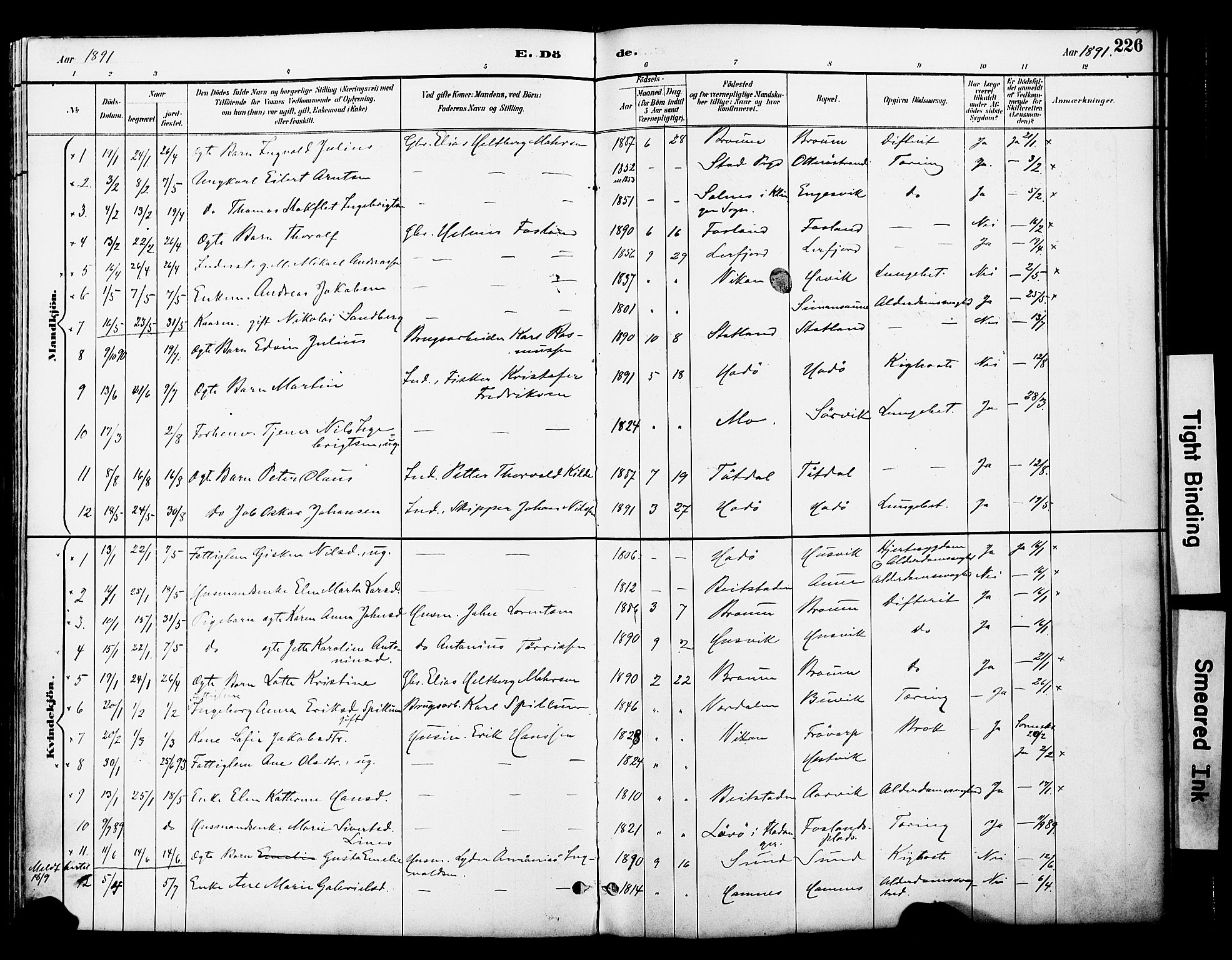 Ministerialprotokoller, klokkerbøker og fødselsregistre - Nord-Trøndelag, SAT/A-1458/774/L0628: Parish register (official) no. 774A02, 1887-1903, p. 226
