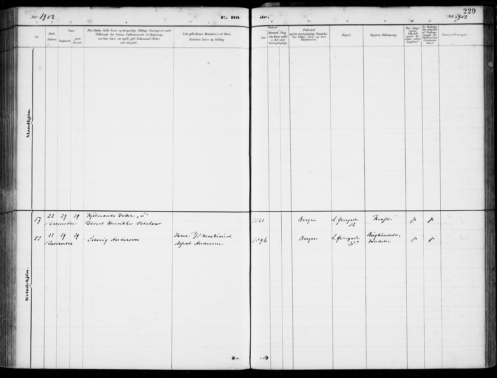 Korskirken sokneprestembete, AV/SAB-A-76101/H/Hab: Parish register (copy) no. E 4, 1884-1910, p. 229