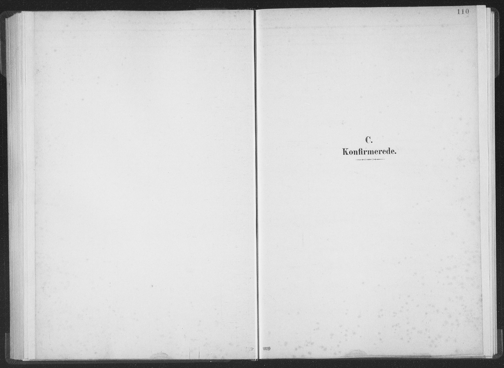 Ministerialprotokoller, klokkerbøker og fødselsregistre - Møre og Romsdal, AV/SAT-A-1454/502/L0025: Parish register (official) no. 502A03, 1885-1909, p. 110