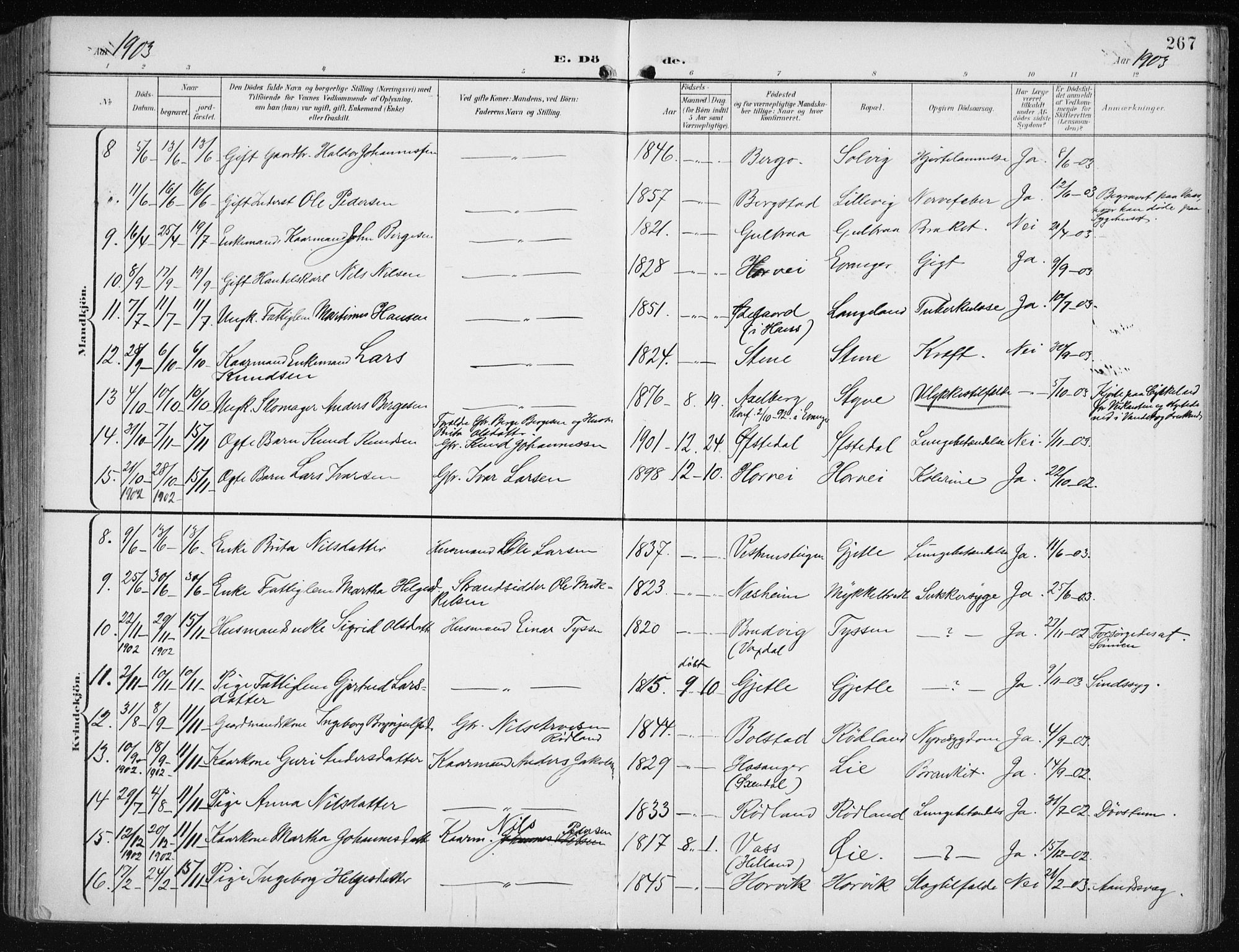 Evanger sokneprestembete, SAB/A-99924: Parish register (official) no. A  3, 1900-1930, p. 267