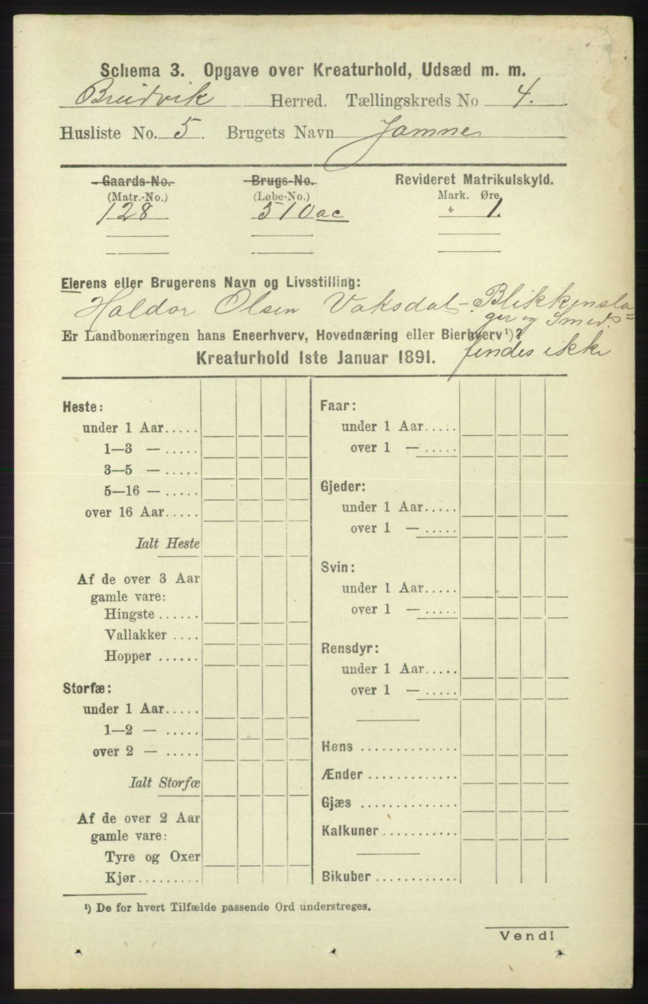 RA, 1891 census for 1251 Bruvik, 1891, p. 4402