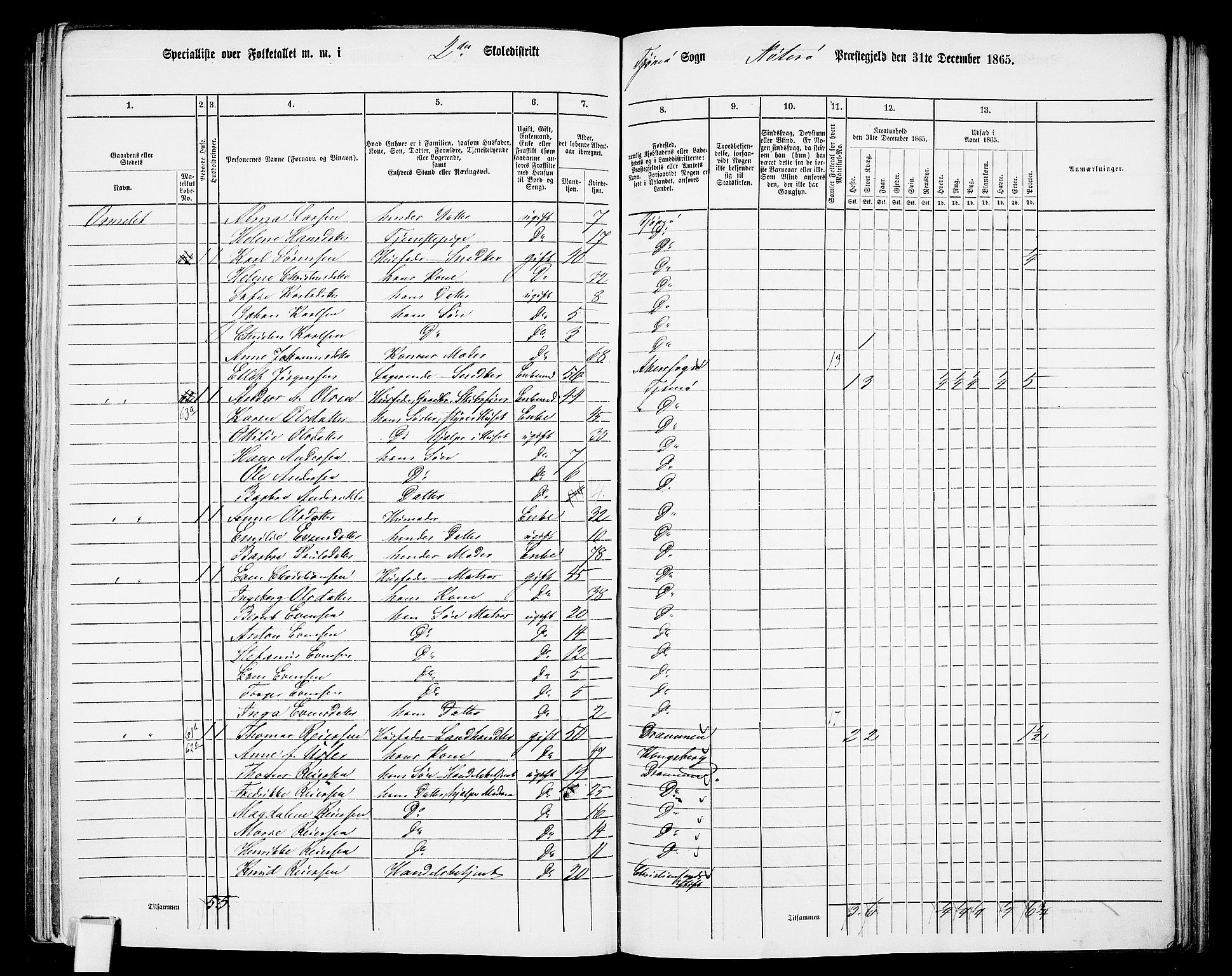 RA, 1865 census for Nøtterøy, 1865, p. 262