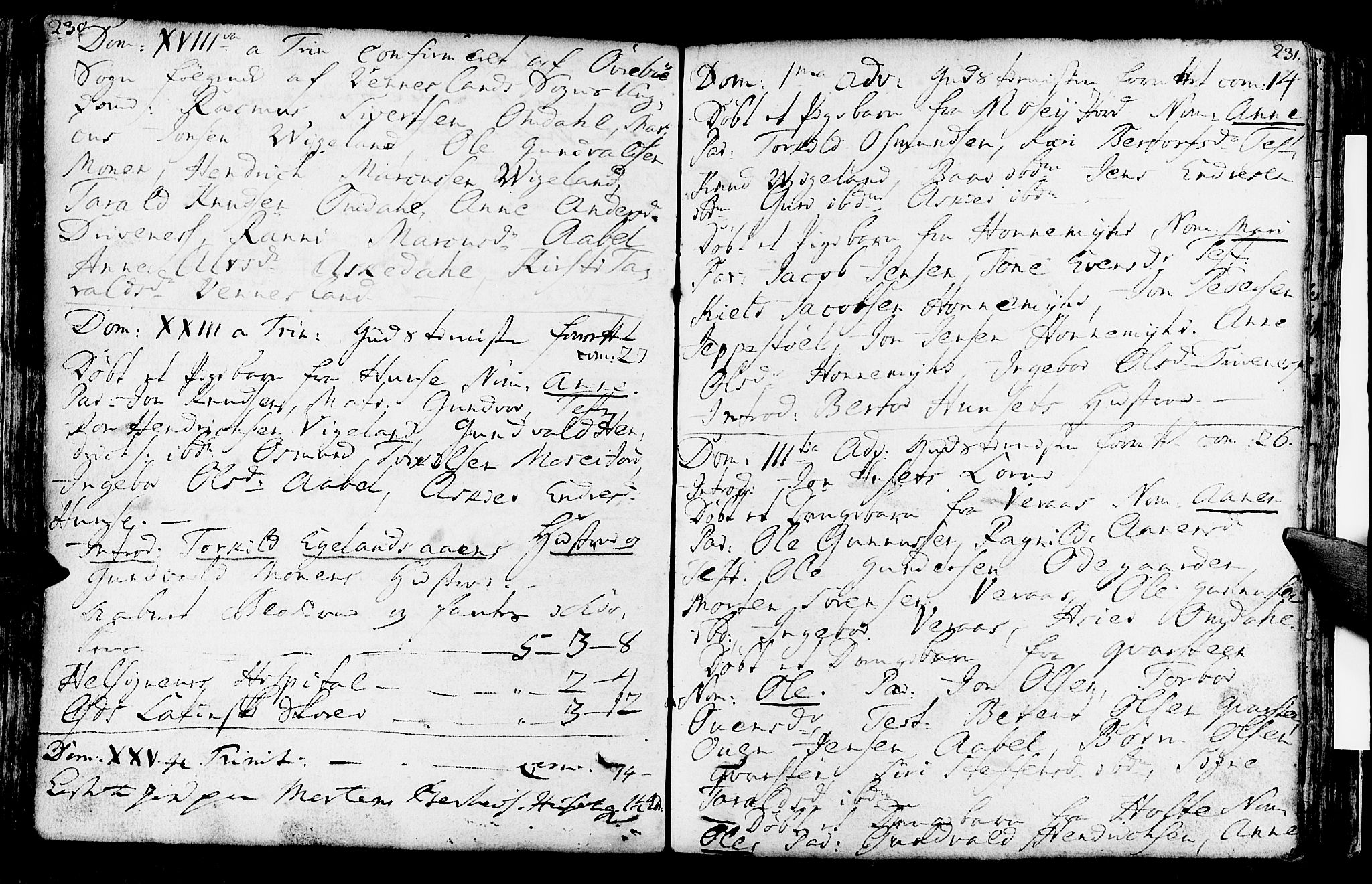 Vennesla sokneprestkontor, AV/SAK-1111-0045/Fa/Fab/L0001: Parish register (official) no. A 1, 1741-1794, p. 230-231