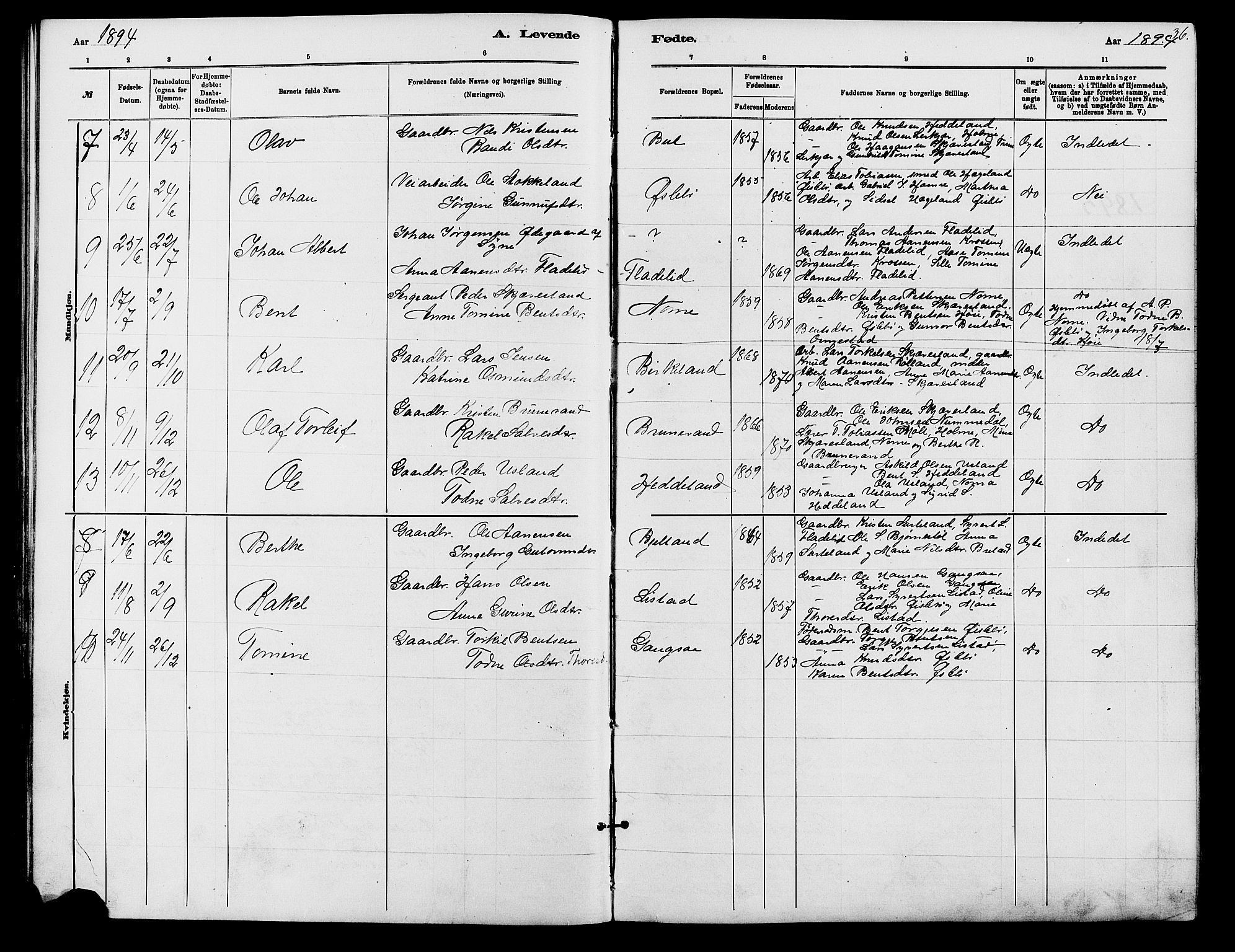 Holum sokneprestkontor, SAK/1111-0022/F/Fb/Fbc/L0003: Parish register (copy) no. B 3, 1882-1908, p. 36