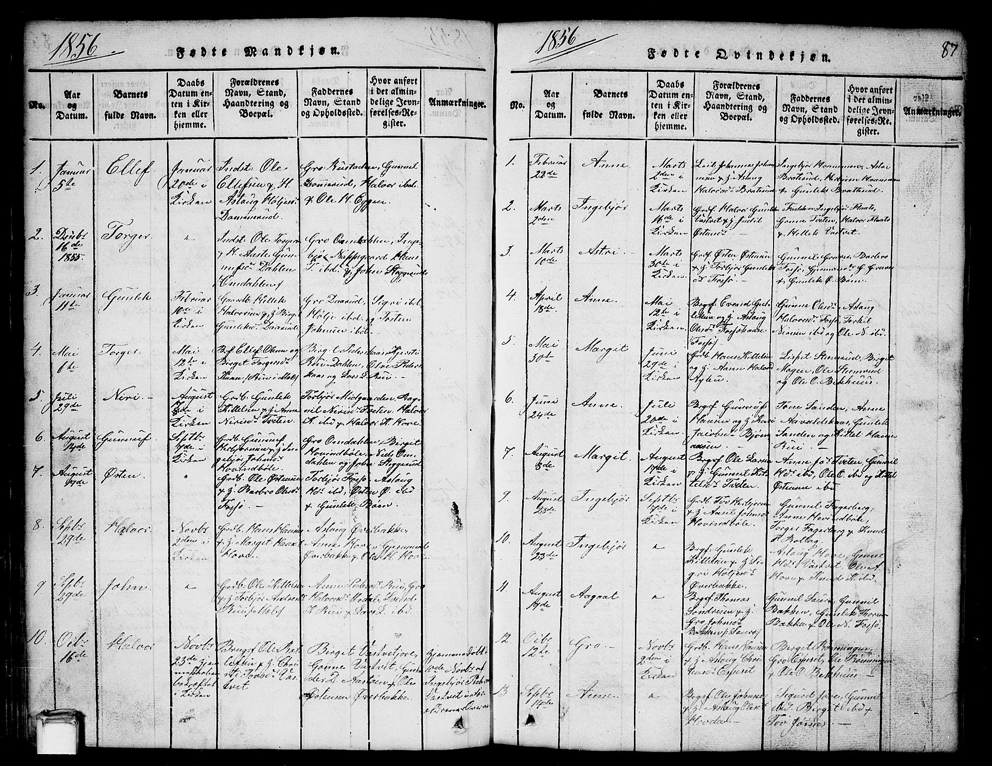 Gransherad kirkebøker, SAKO/A-267/G/Gb/L0001: Parish register (copy) no. II 1, 1815-1860, p. 87