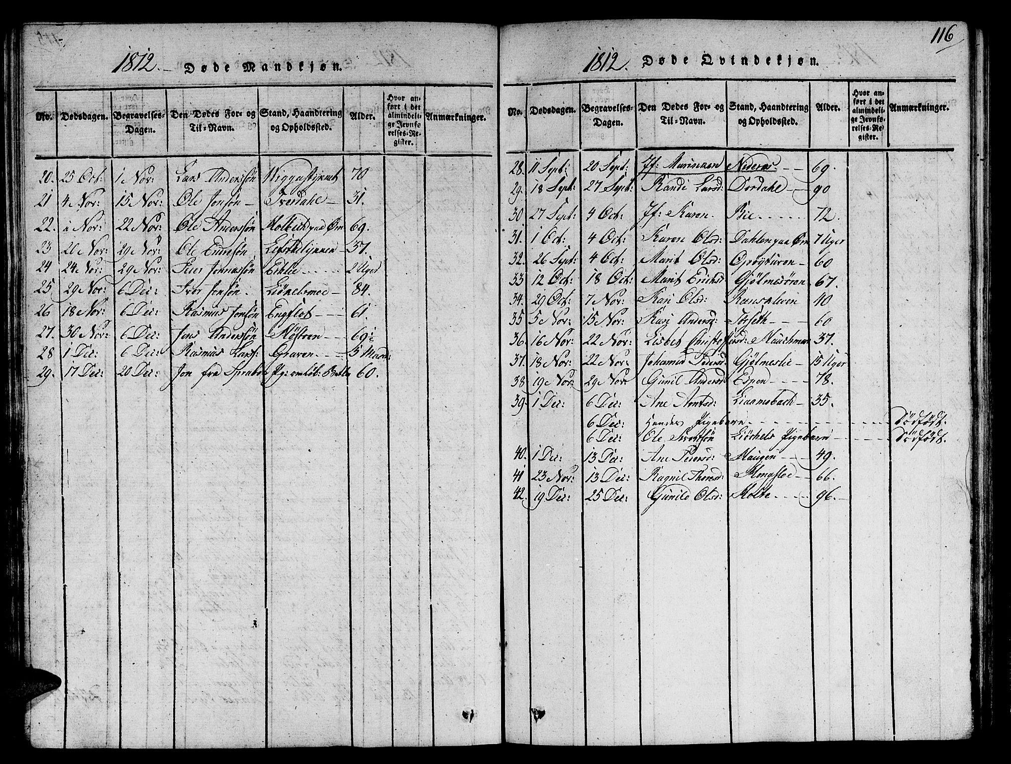 Ministerialprotokoller, klokkerbøker og fødselsregistre - Sør-Trøndelag, SAT/A-1456/668/L0803: Parish register (official) no. 668A03, 1800-1826, p. 116