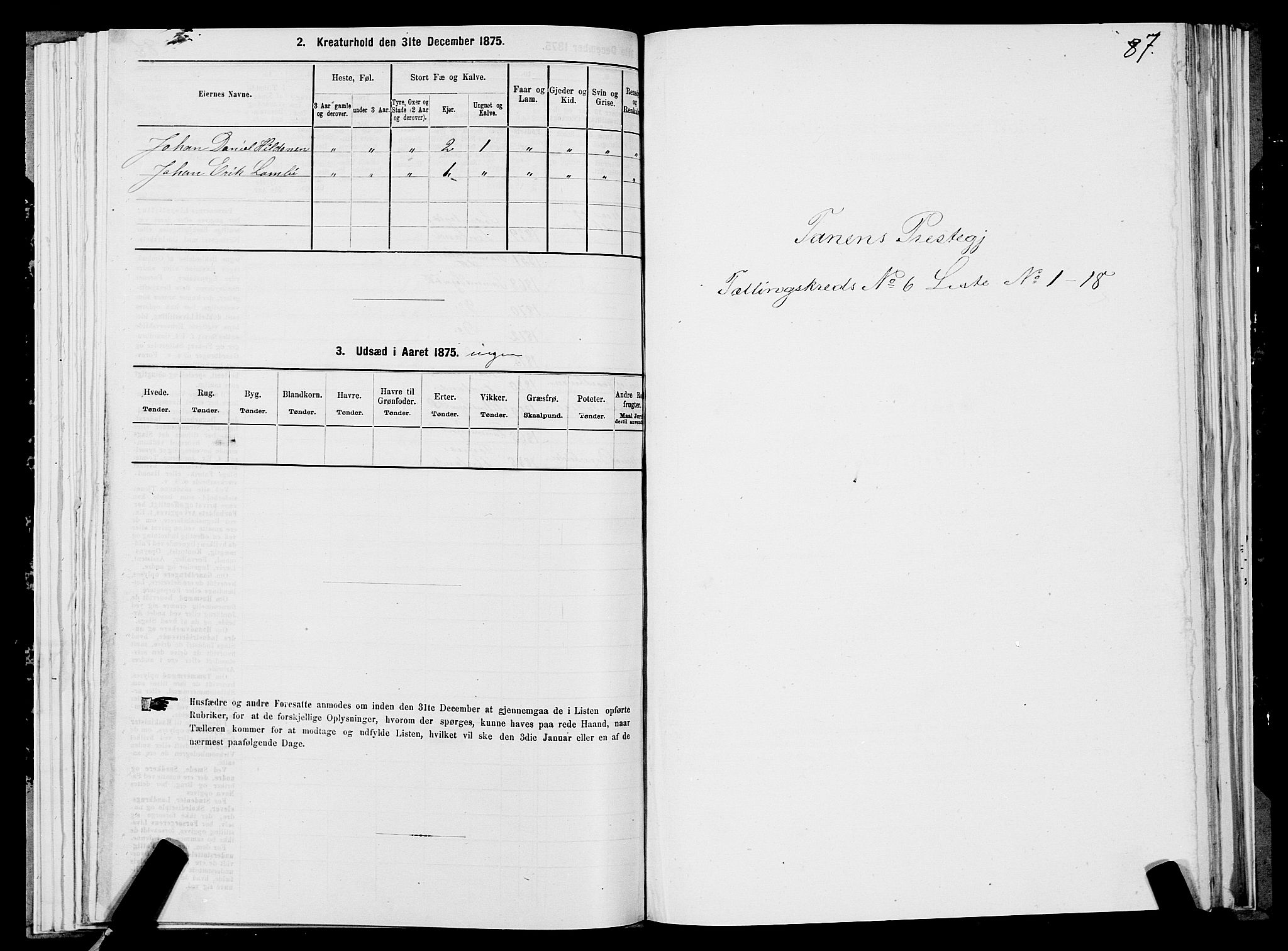 SATØ, 1875 census for 2025P Tana, 1875, p. 2087