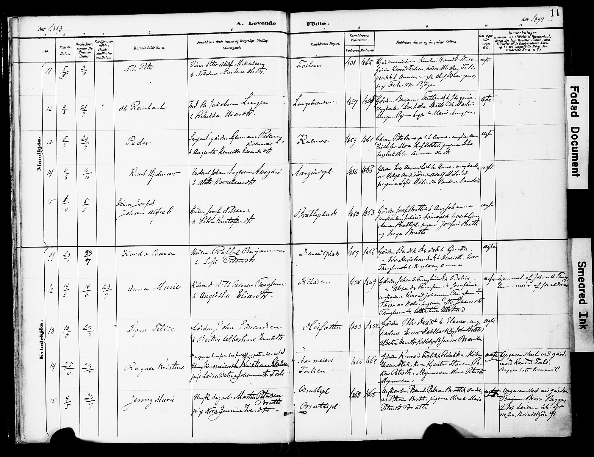 Ministerialprotokoller, klokkerbøker og fødselsregistre - Nord-Trøndelag, AV/SAT-A-1458/742/L0409: Parish register (official) no. 742A02, 1891-1905, p. 11