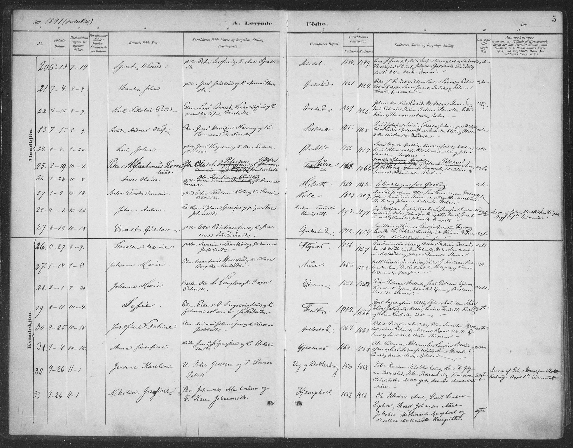 Ministerialprotokoller, klokkerbøker og fødselsregistre - Møre og Romsdal, AV/SAT-A-1454/523/L0335: Parish register (official) no. 523A02, 1891-1911, p. 5