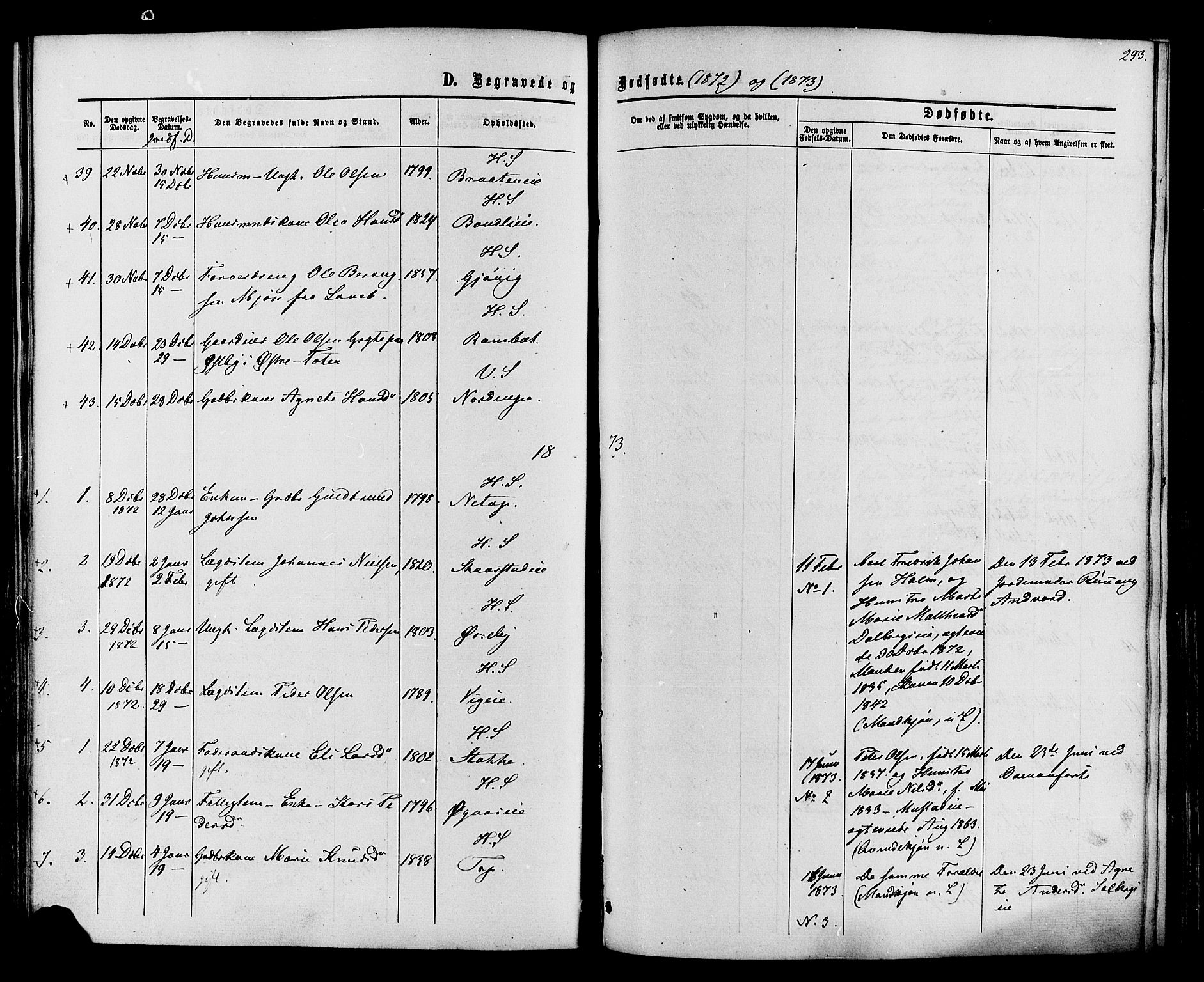 Vardal prestekontor, SAH/PREST-100/H/Ha/Haa/L0007: Parish register (official) no. 7, 1867-1878, p. 293