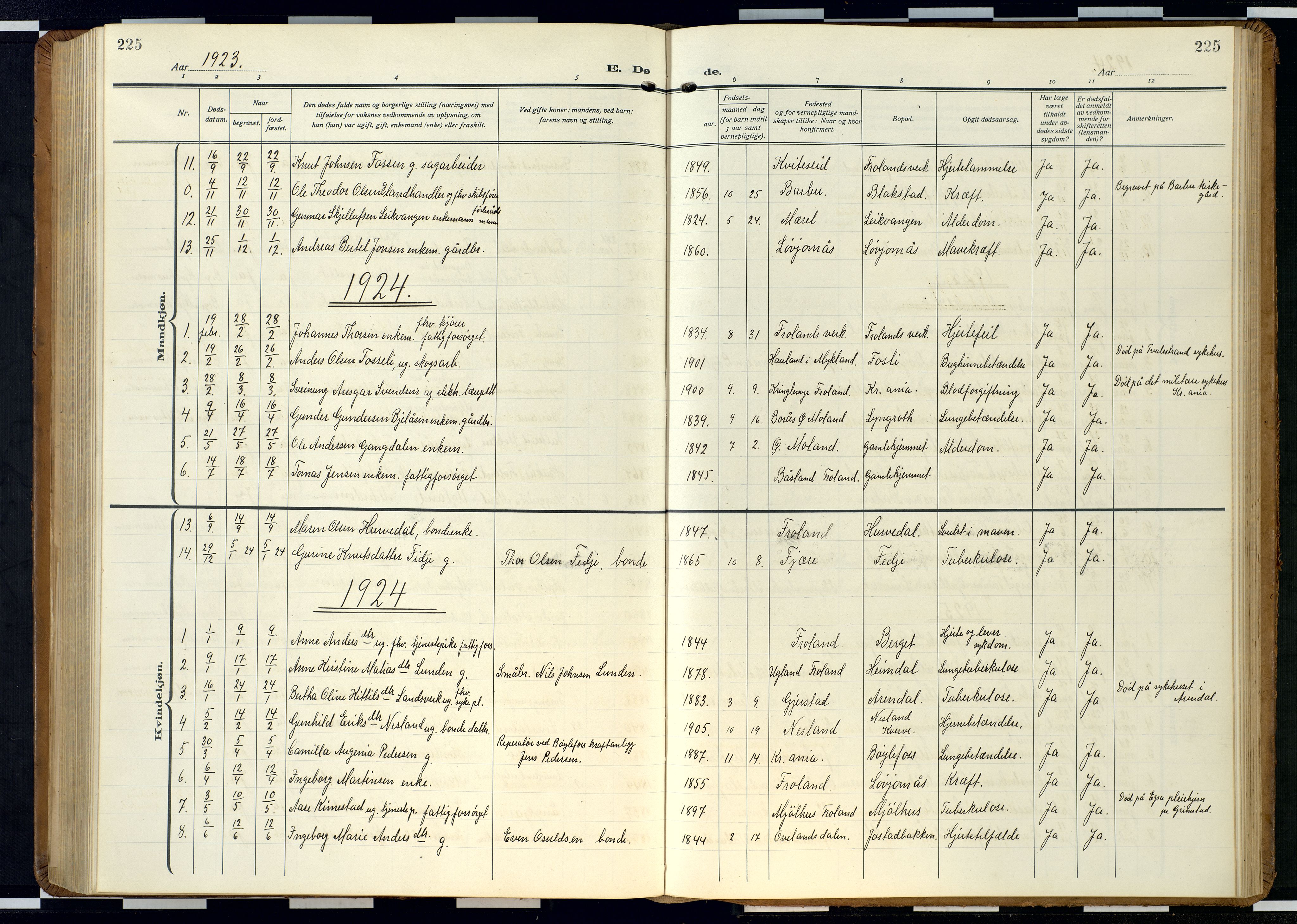 Froland sokneprestkontor, SAK/1111-0013/F/Fb/L0011: Parish register (copy) no. B 11, 1921-1947, p. 225
