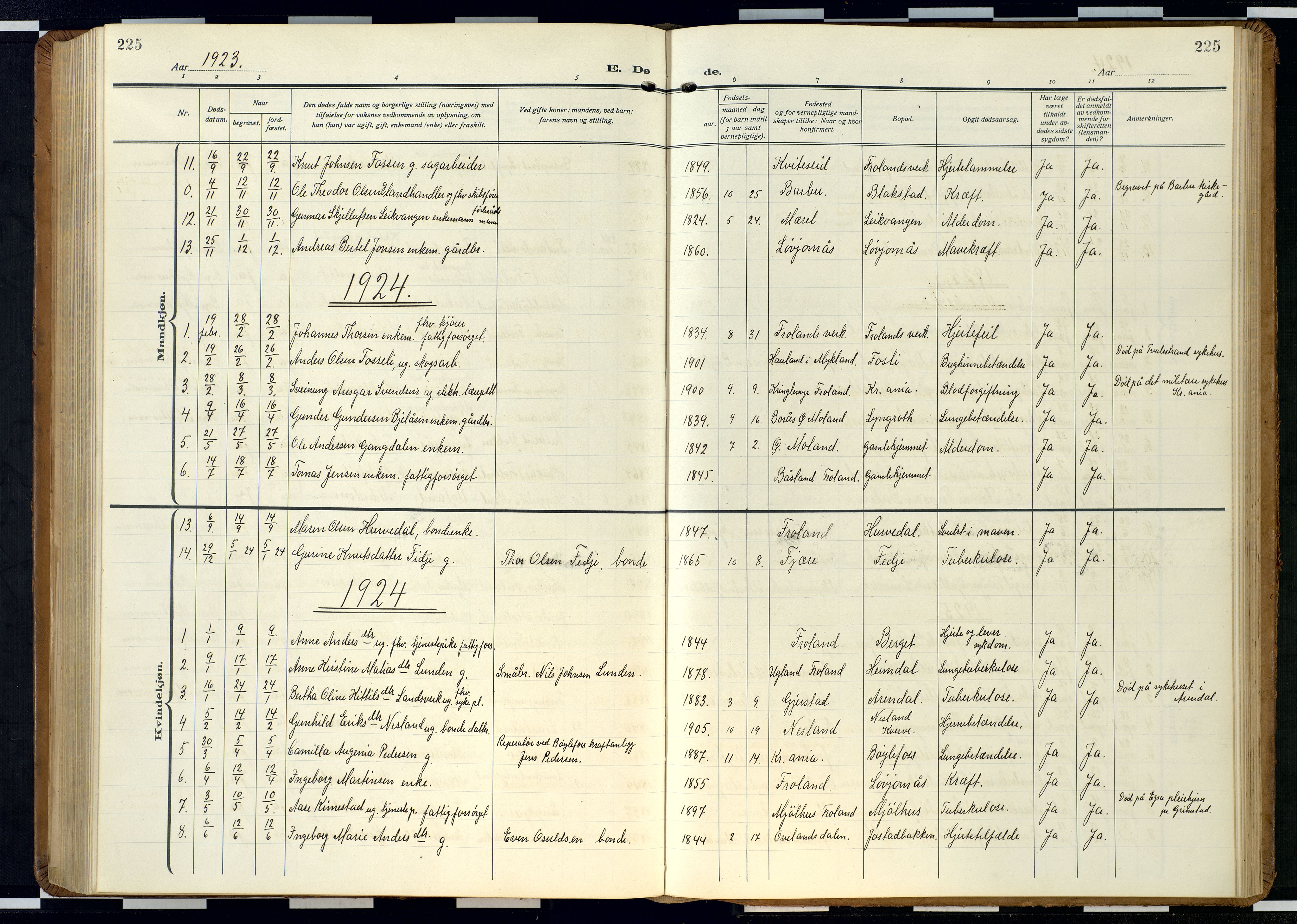 Froland sokneprestkontor, AV/SAK-1111-0013/F/Fb/L0011: Parish register (copy) no. B 11, 1921-1947, p. 225