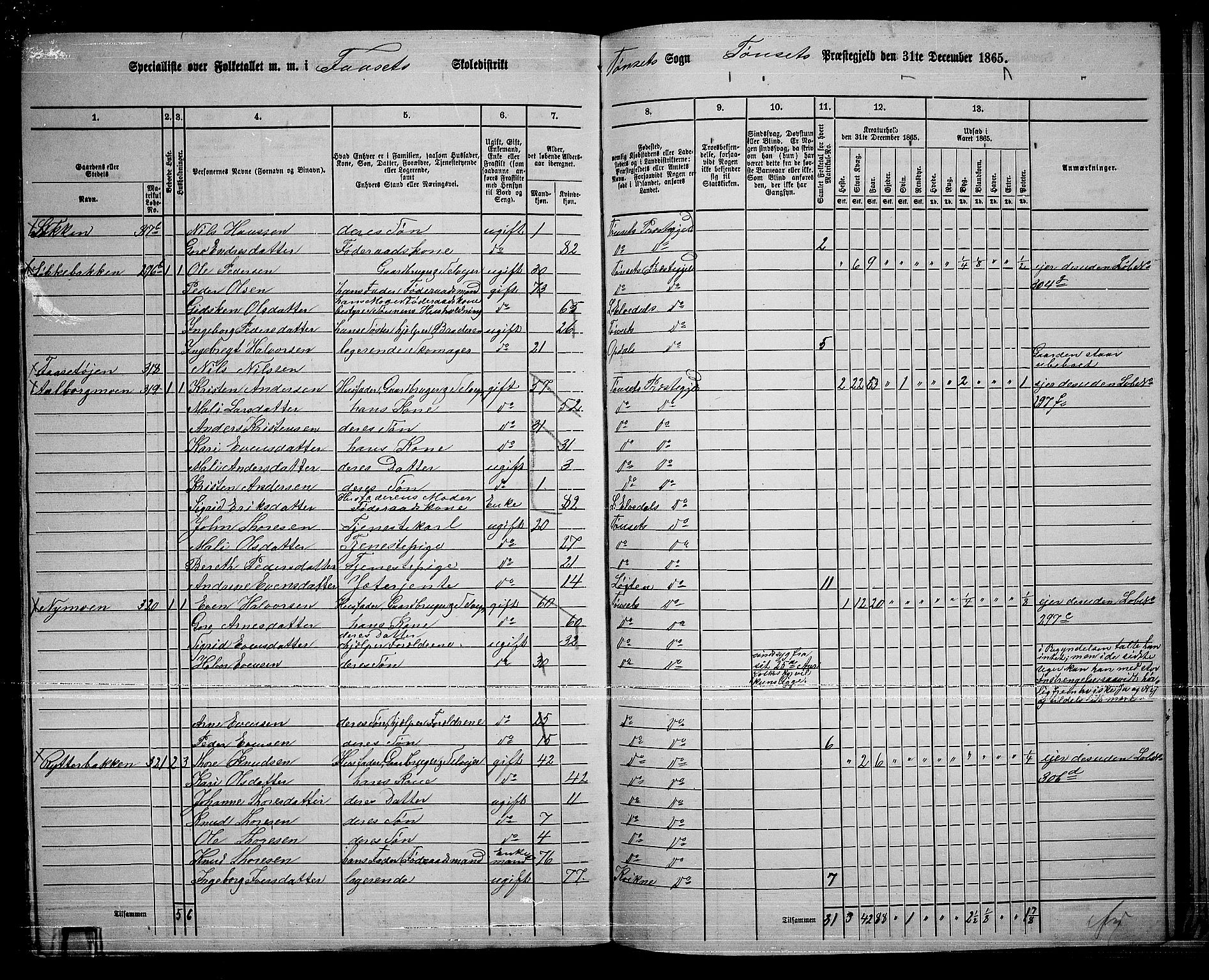 RA, 1865 census for Tynset, 1865, p. 123