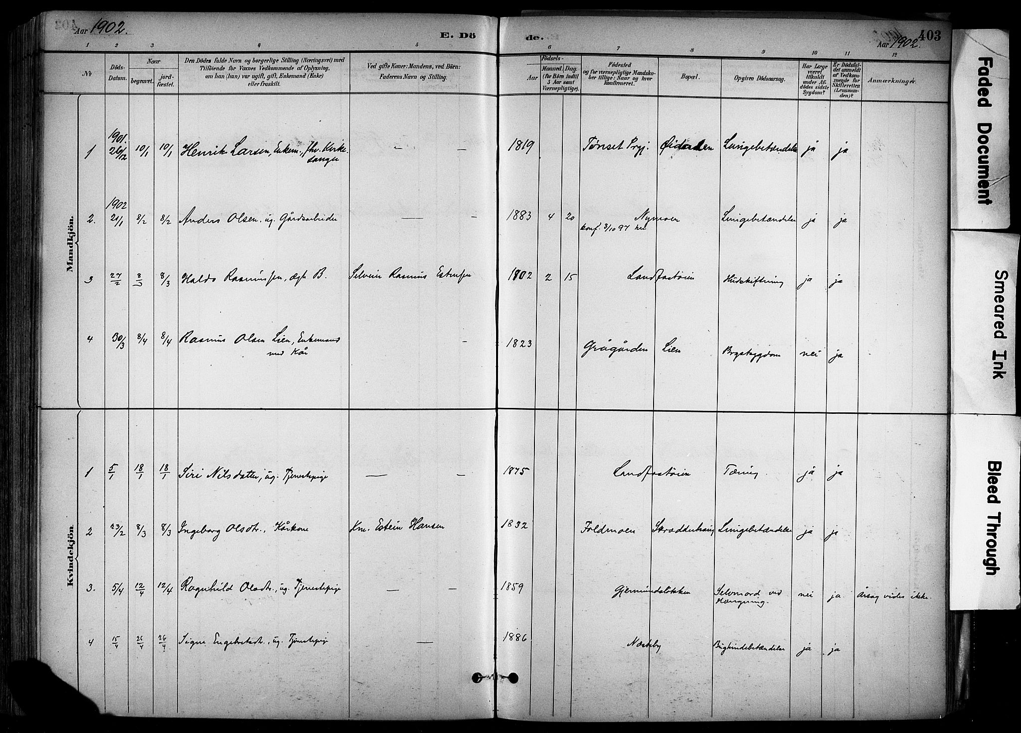 Alvdal prestekontor, SAH/PREST-060/H/Ha/Haa/L0002: Parish register (official) no. 2, 1883-1906, p. 403