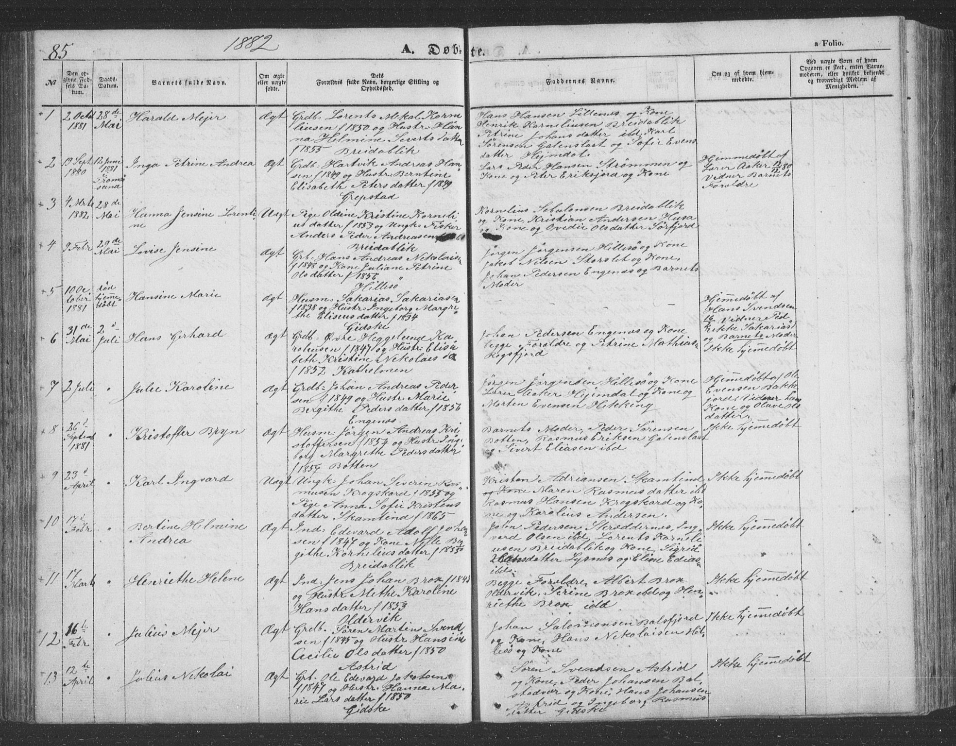 Lenvik sokneprestembete, SATØ/S-1310/H/Ha/Hab/L0020klokker: Parish register (copy) no. 20, 1855-1883, p. 85