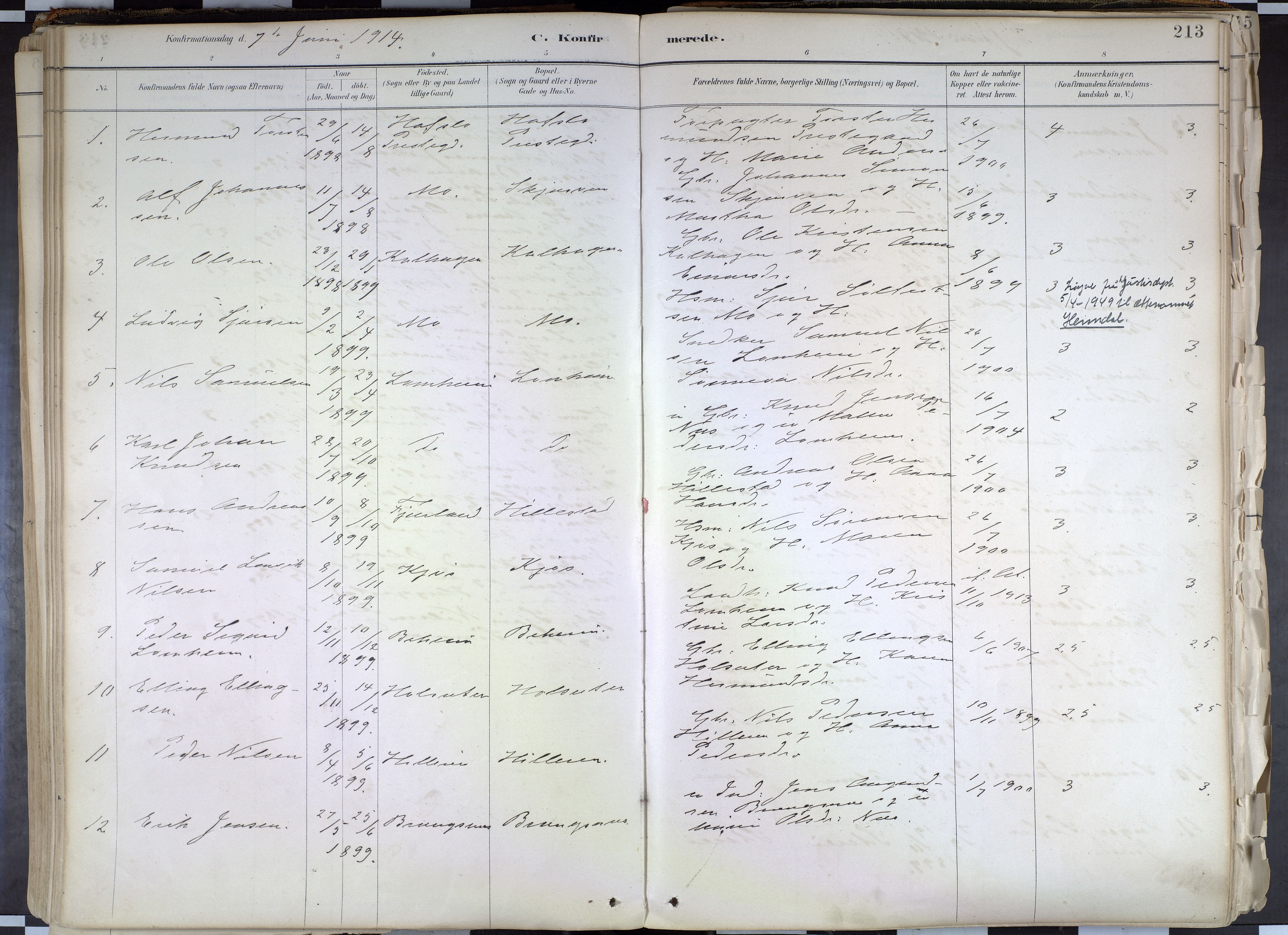 Hafslo sokneprestembete, SAB/A-80301/H/Haa/Haab/L0001: Parish register (official) no. B 1, 1886-1945, p. 213