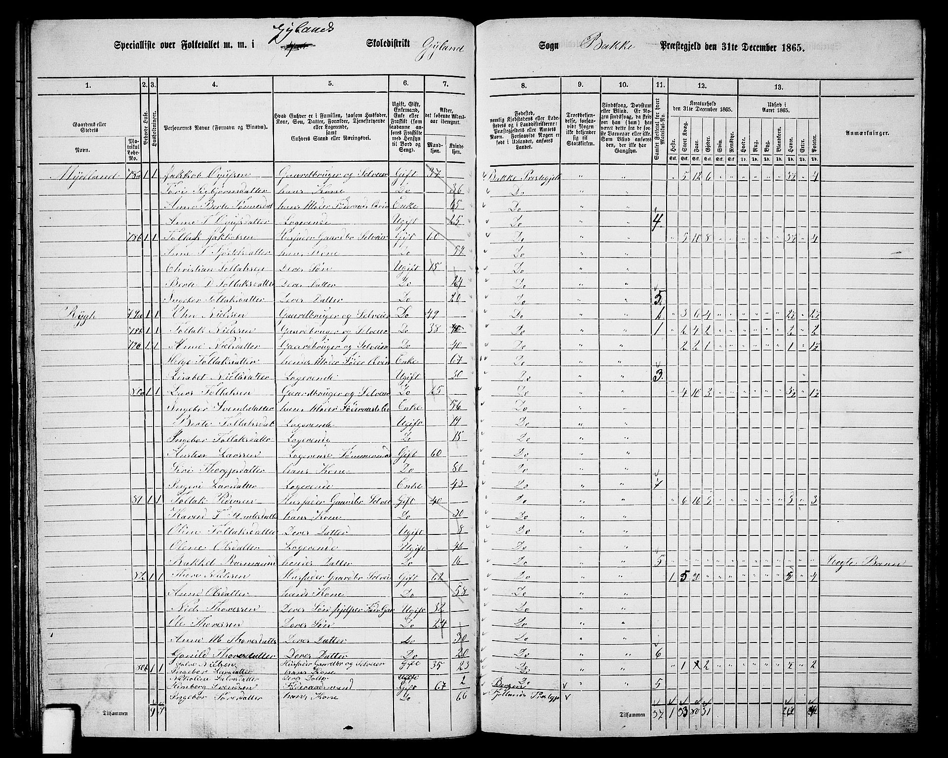 RA, 1865 census for Bakke, 1865, p. 40