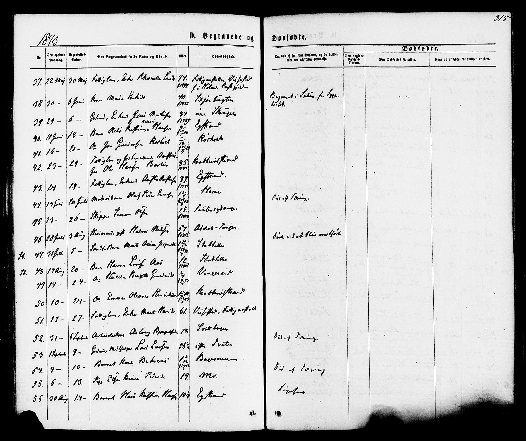 Bamble kirkebøker, SAKO/A-253/F/Fa/L0006: Parish register (official) no. I 6, 1869-1877, p. 315