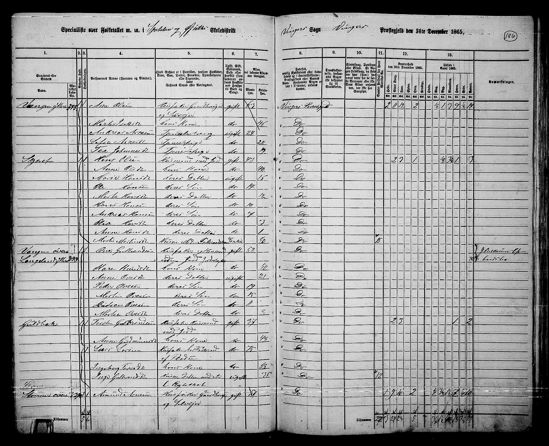 RA, 1865 census for Vinger/Vinger og Austmarka, 1865, p. 171