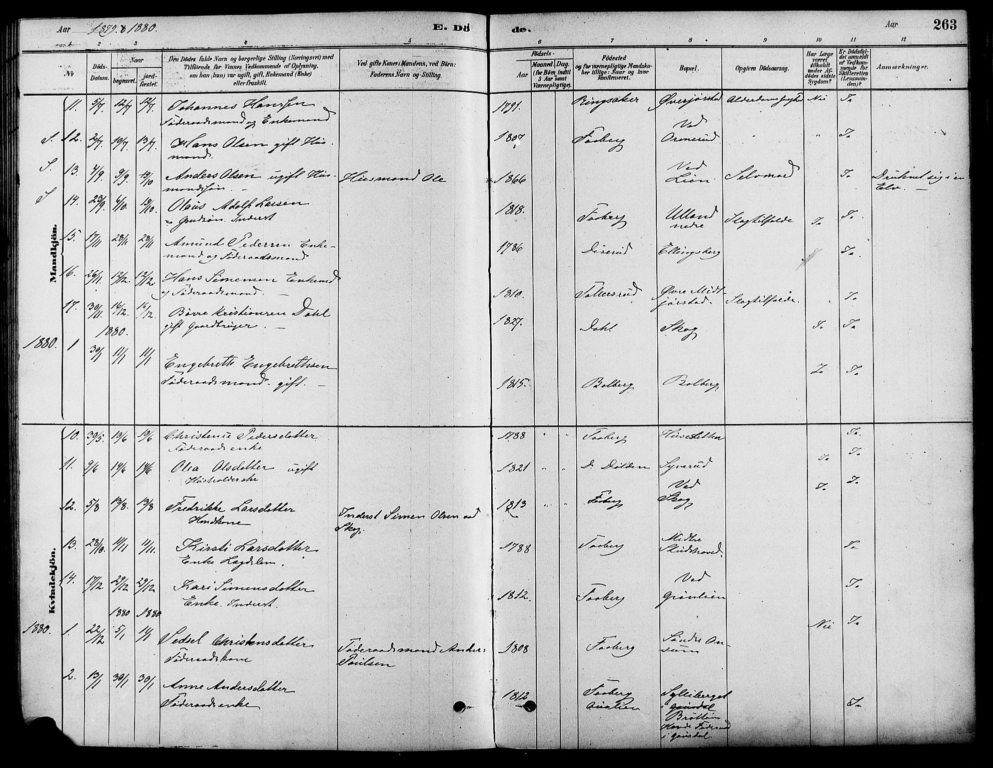 Fåberg prestekontor, SAH/PREST-086/H/Ha/Haa/L0008: Parish register (official) no. 8, 1879-1898, p. 263