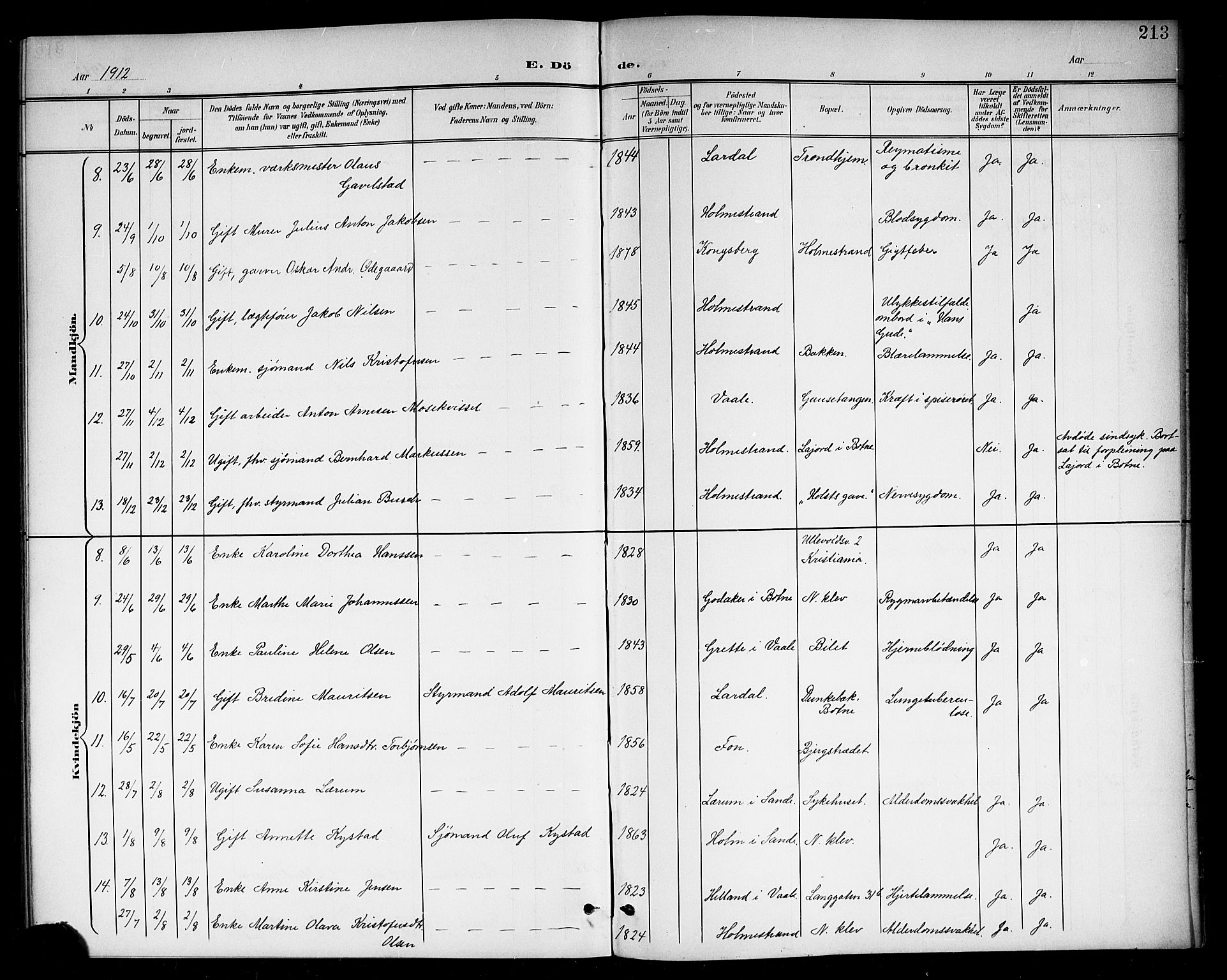 Holmestrand kirkebøker, AV/SAKO-A-346/G/Ga/L0006: Parish register (copy) no. 6, 1901-1923, p. 213