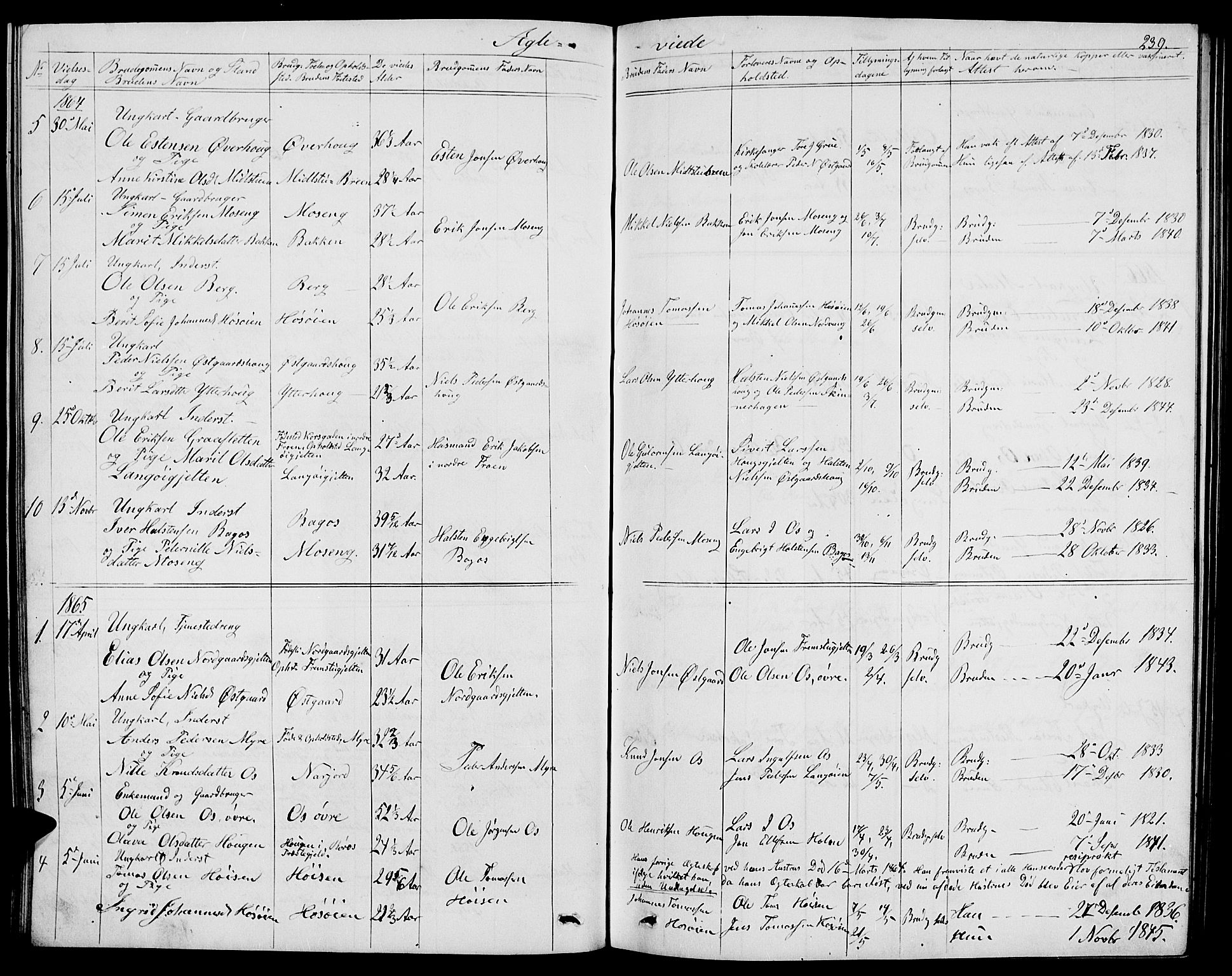 Tolga prestekontor, AV/SAH-PREST-062/L/L0004: Parish register (copy) no. 4, 1845-1887, p. 239