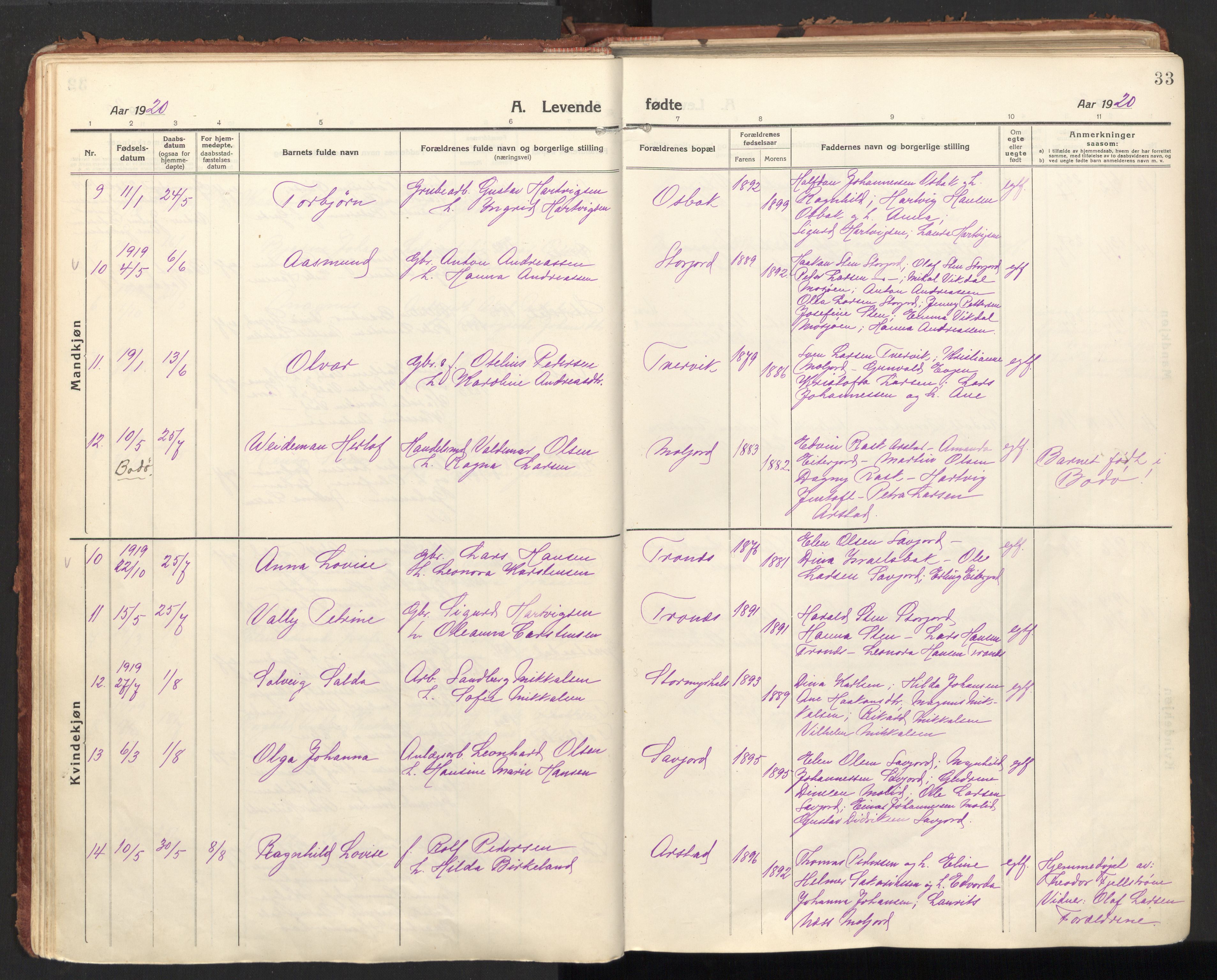 Ministerialprotokoller, klokkerbøker og fødselsregistre - Nordland, SAT/A-1459/846/L0650: Parish register (official) no. 846A08, 1916-1935, p. 33