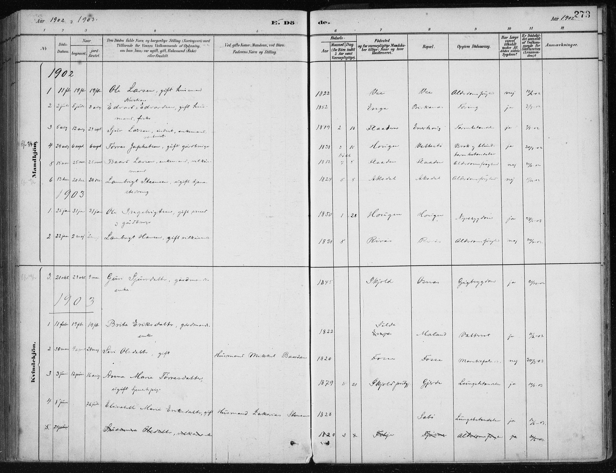 Etne sokneprestembete, SAB/A-75001/H/Haa: Parish register (official) no. C  1, 1879-1919, p. 273