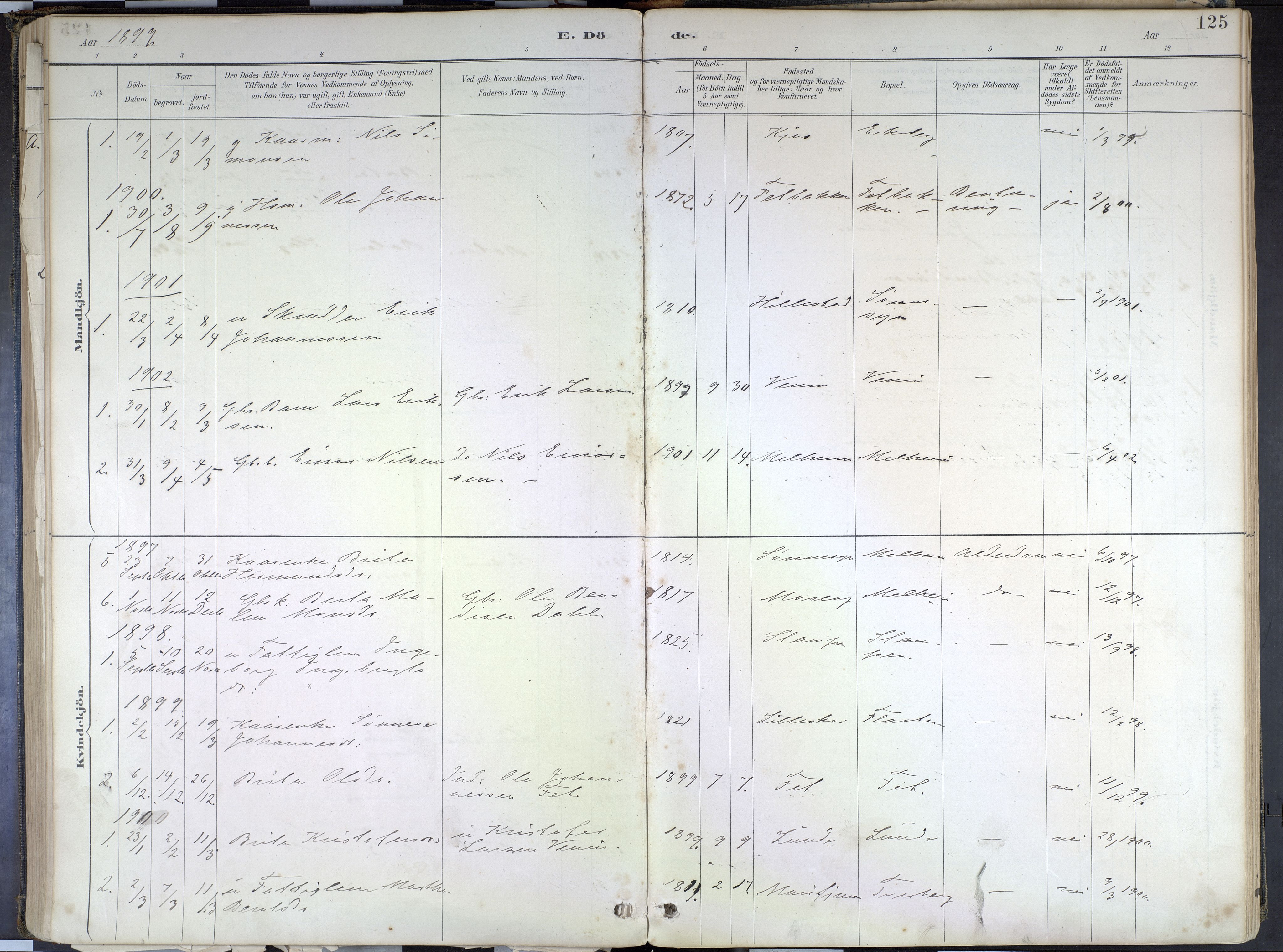 Hafslo sokneprestembete, SAB/A-80301/H/Haa/Haad/L0001: Parish register (official) no. D 1, 1886-1934, p. 125