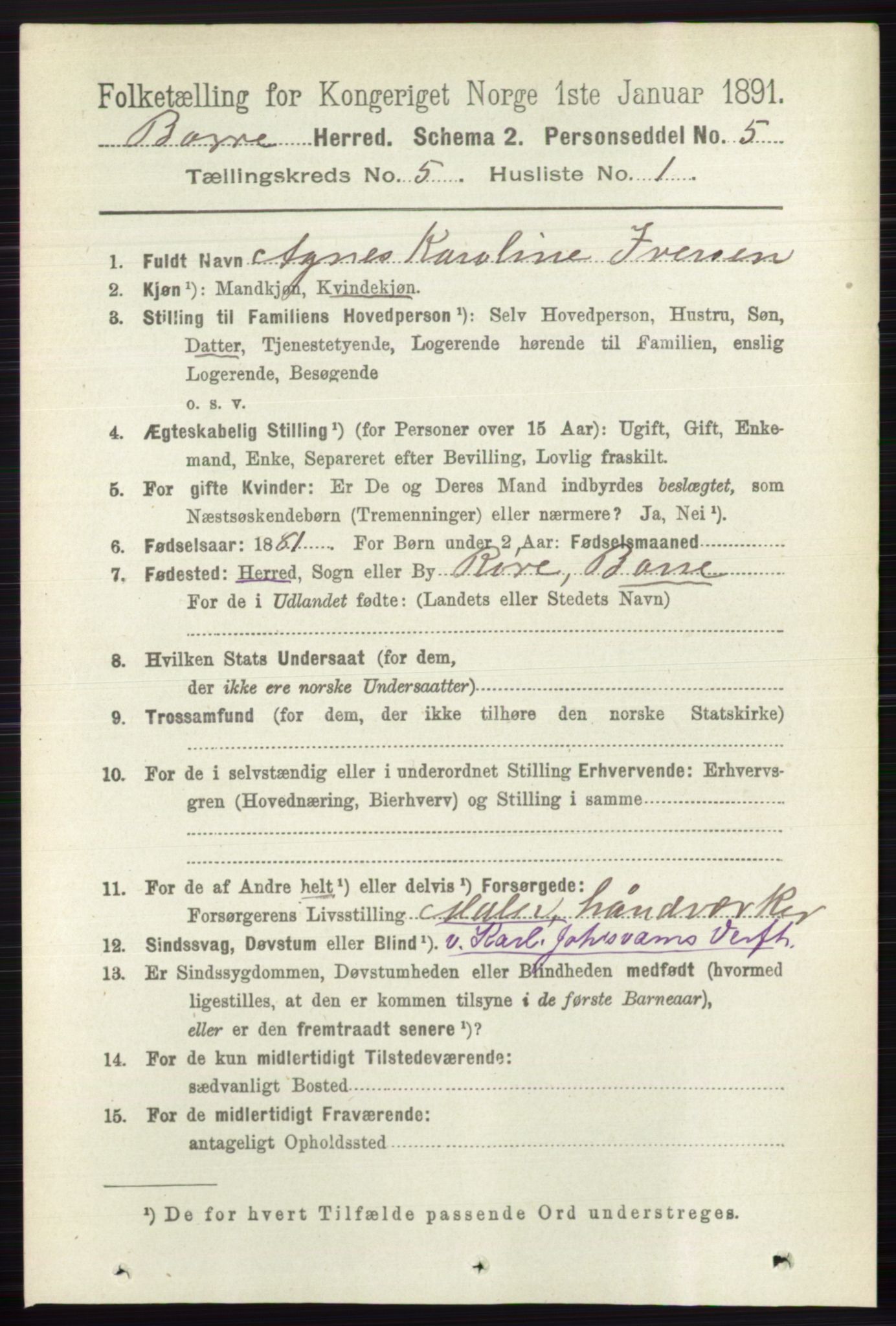 RA, 1891 census for 0717 Borre, 1891, p. 2016