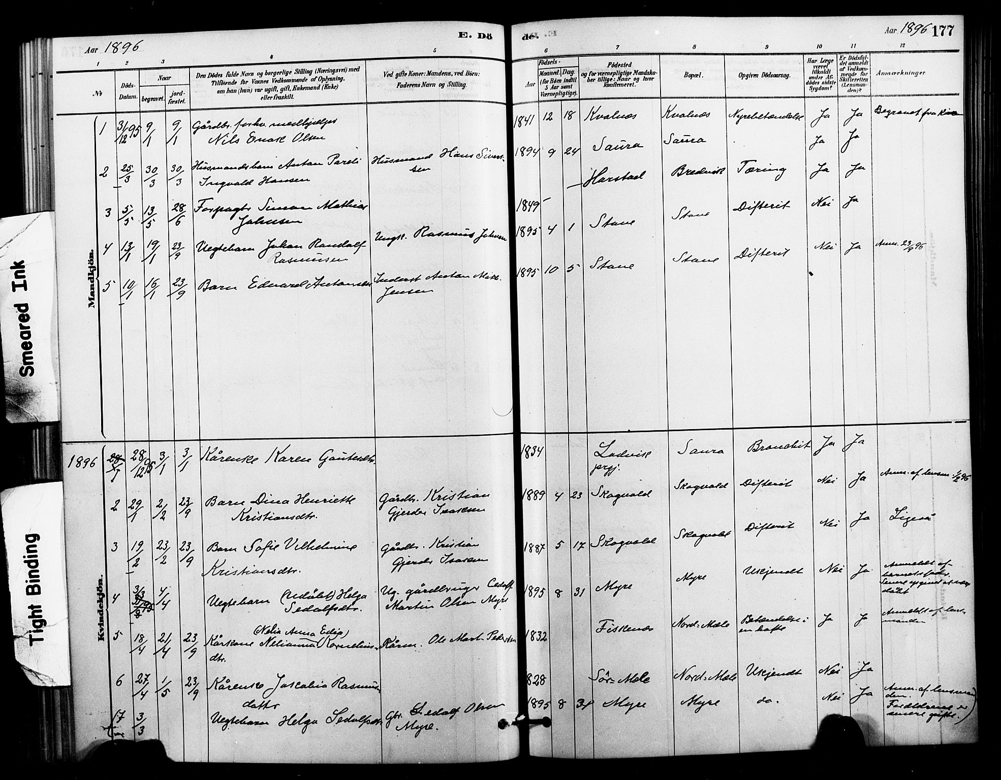 Ministerialprotokoller, klokkerbøker og fødselsregistre - Nordland, AV/SAT-A-1459/897/L1399: Parish register (official) no. 897C06, 1881-1896, p. 177