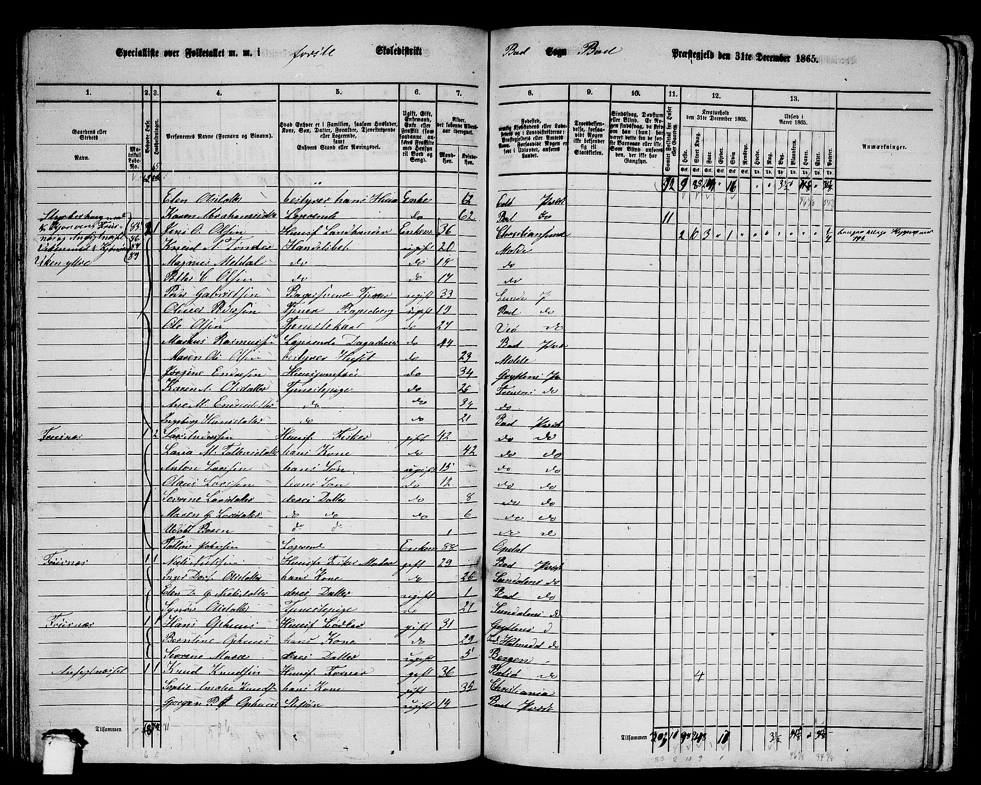 RA, 1865 census for Bud, 1865, p. 68