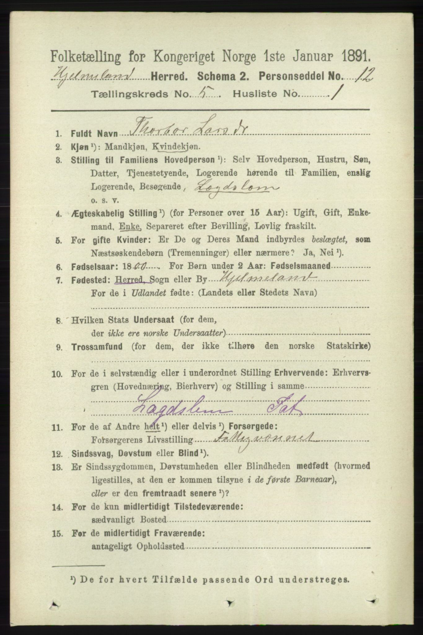 RA, 1891 census for 1133 Hjelmeland, 1891, p. 1162