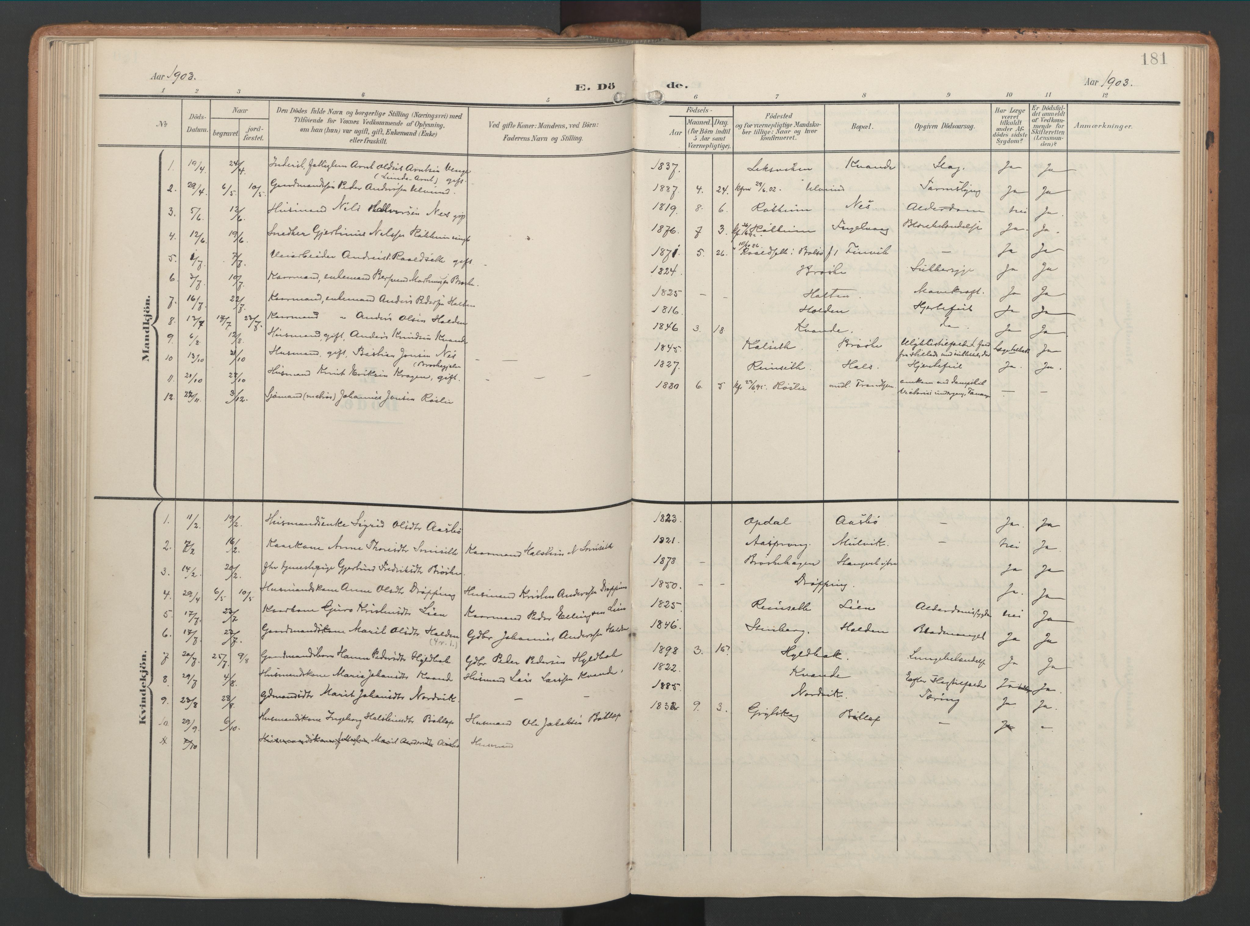 Ministerialprotokoller, klokkerbøker og fødselsregistre - Møre og Romsdal, AV/SAT-A-1454/592/L1030: Parish register (official) no. 592A08, 1901-1925, p. 181