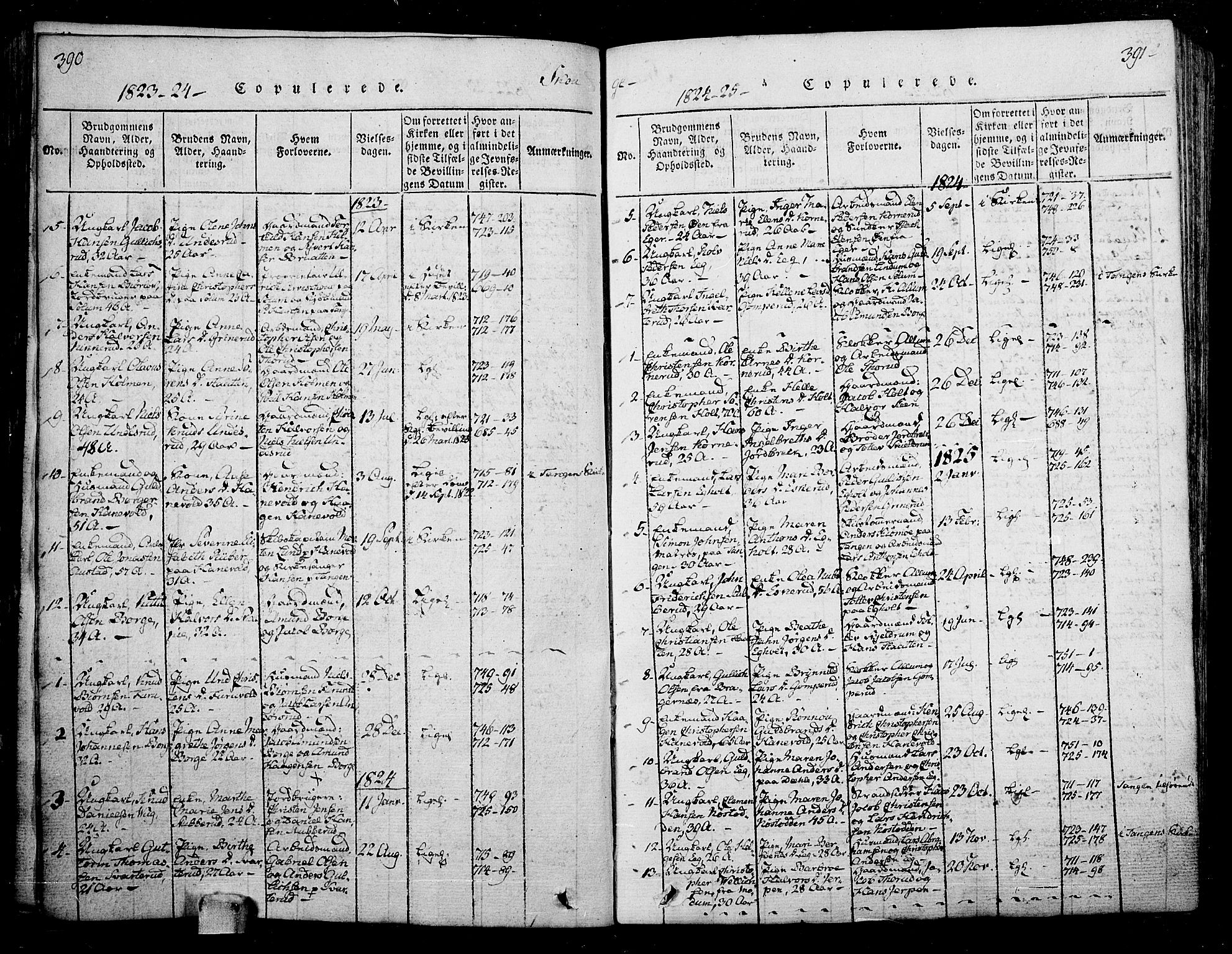 Skoger kirkebøker, AV/SAKO-A-59/F/Fa/L0002: Parish register (official) no. I 2 /1, 1814-1842, p. 390-391