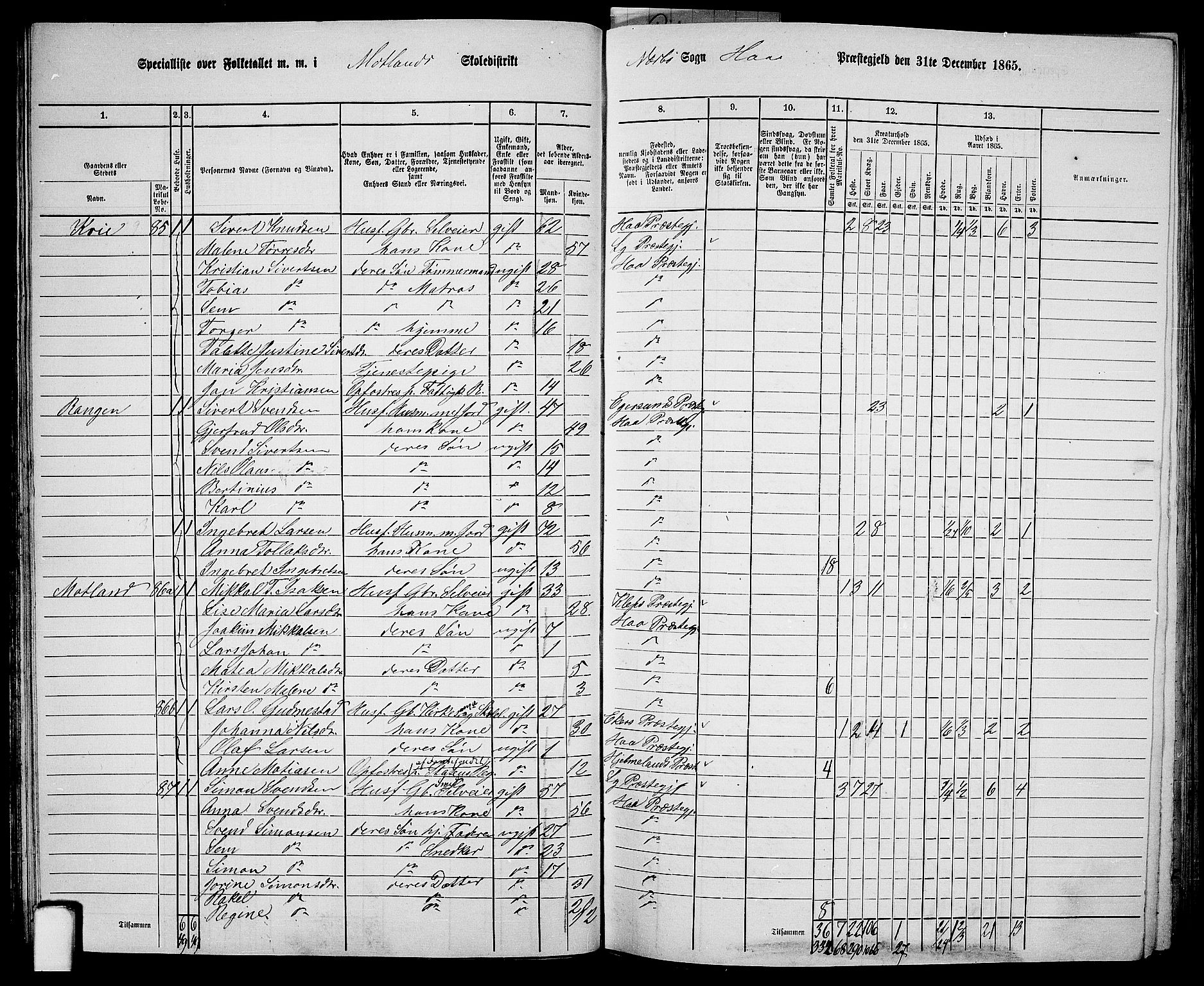 RA, 1865 census for Hå, 1865, p. 45