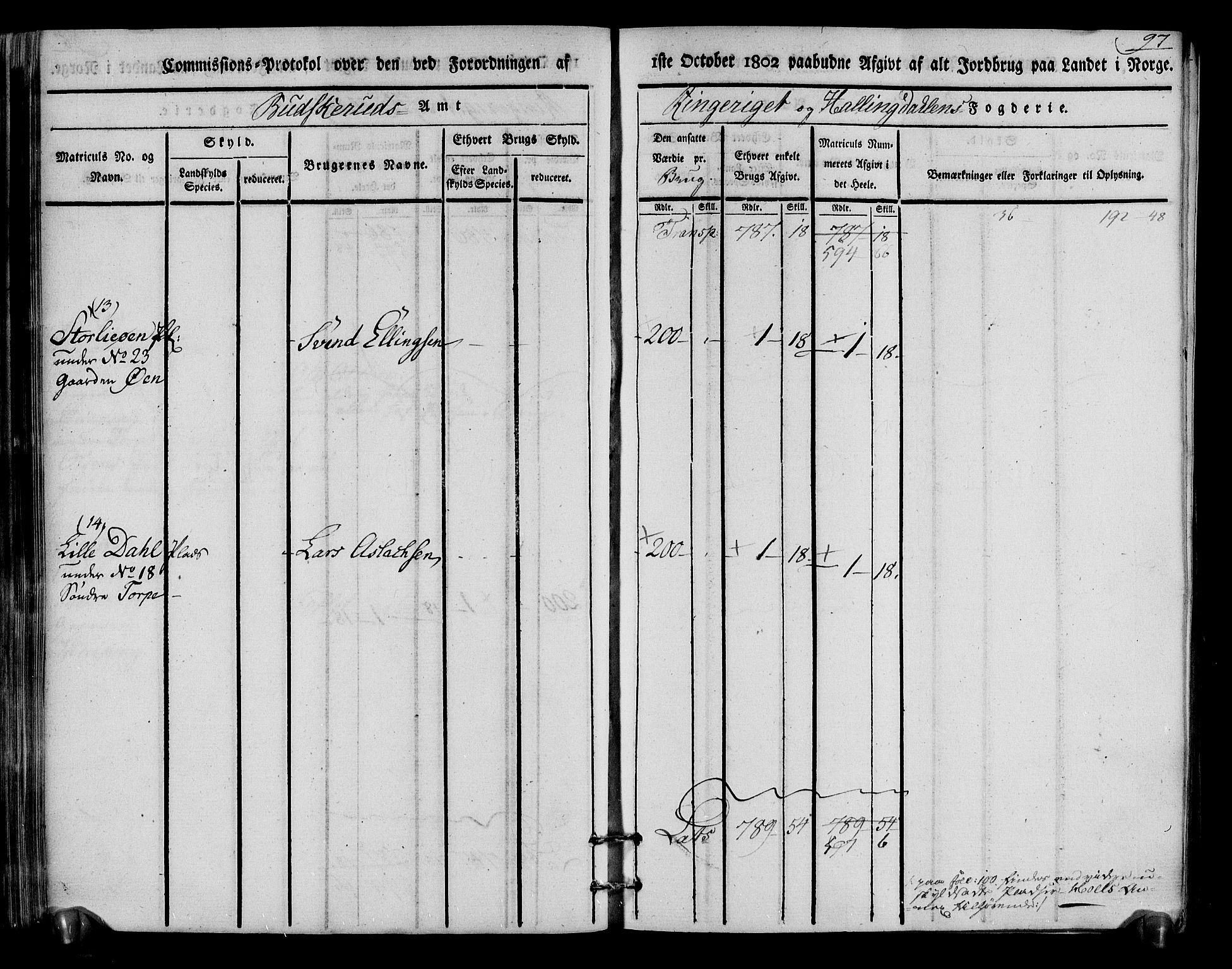 Rentekammeret inntil 1814, Realistisk ordnet avdeling, RA/EA-4070/N/Ne/Nea/L0048: Ringerike og Hallingdal fogderi. Kommisjonsprotokoll for Ål prestegjeld, 1803, p. 101