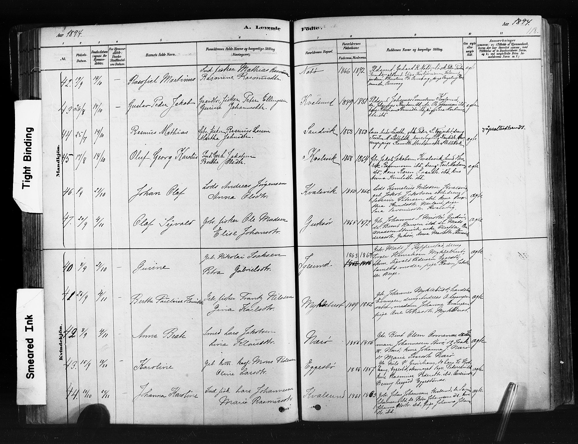 Ministerialprotokoller, klokkerbøker og fødselsregistre - Møre og Romsdal, SAT/A-1454/507/L0073: Parish register (official) no. 507A08, 1878-1904, p. 118